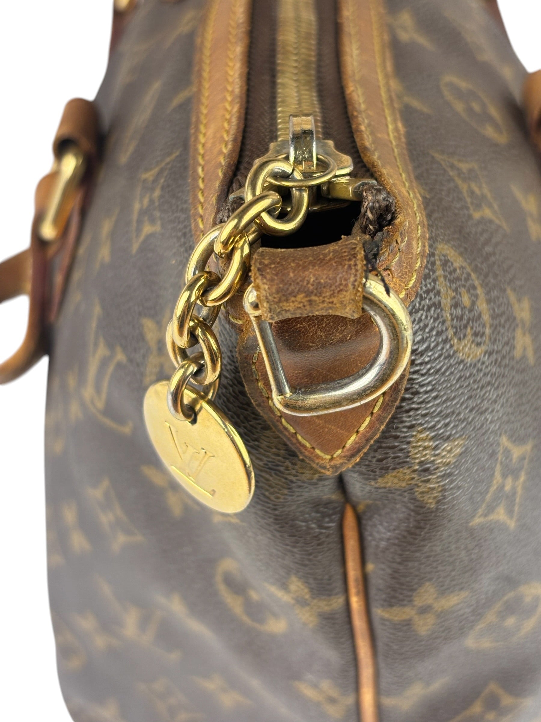 Louis Vuitton Monogram Palermo Two-Way Bag PM