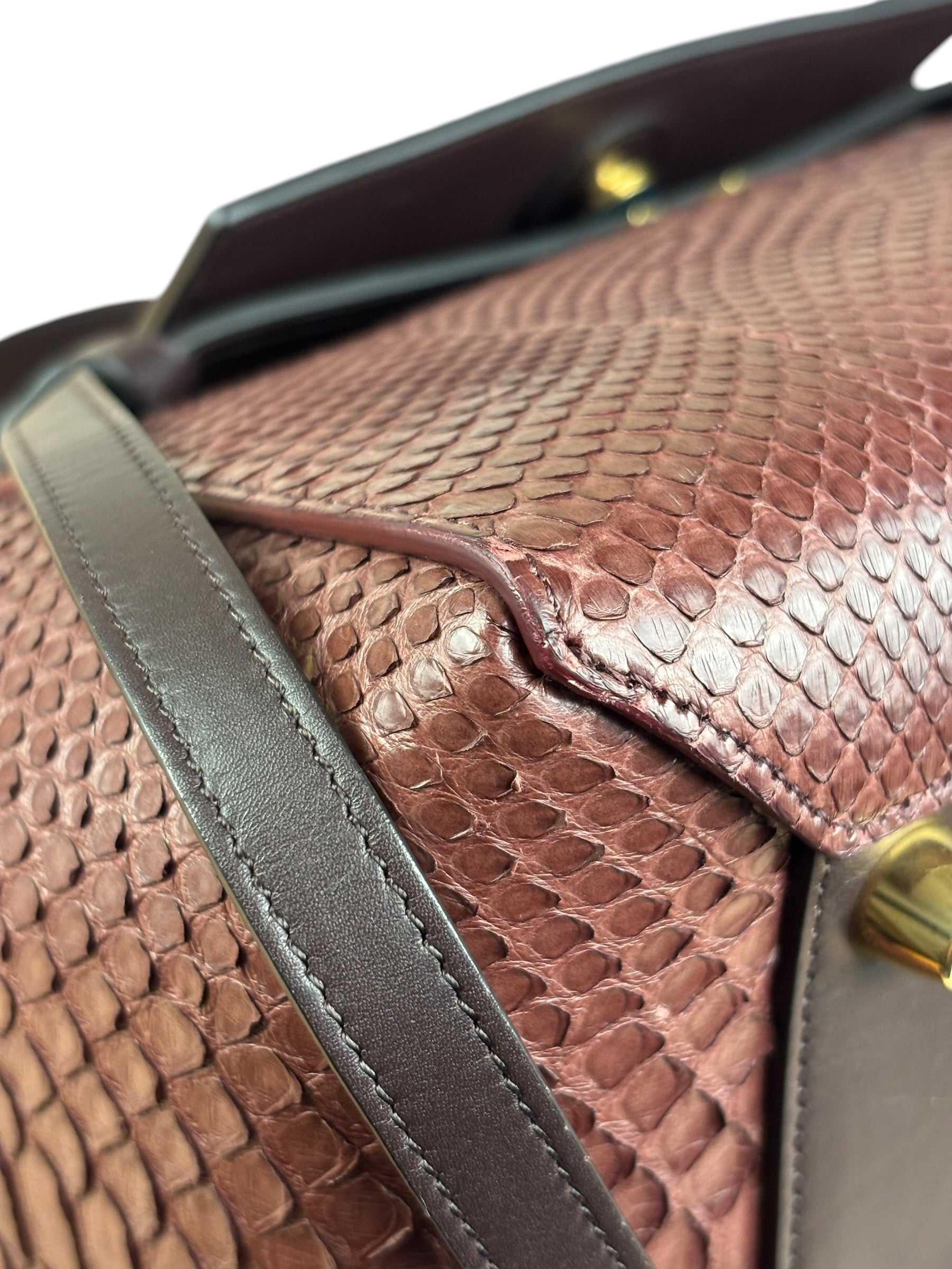Celine Maroon Python Embossed Trapeze Bag