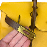 Hermes Birkin 35 Cushvel Havana x Jaune