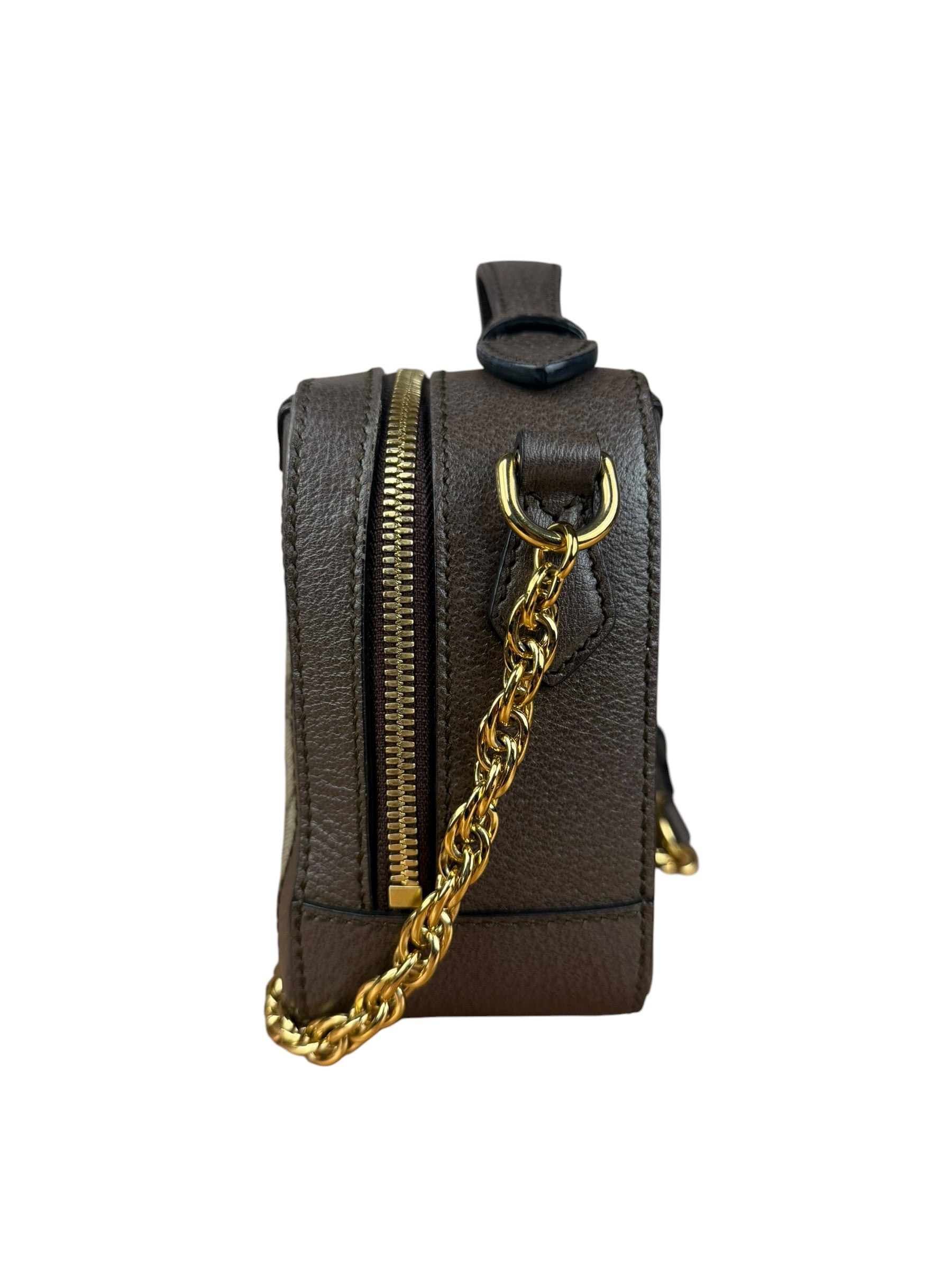Gucci GG Supreme Ophidia Small