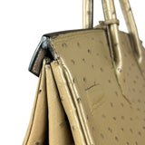 Hermes Birkin 35 Mousse Ostrich 2001