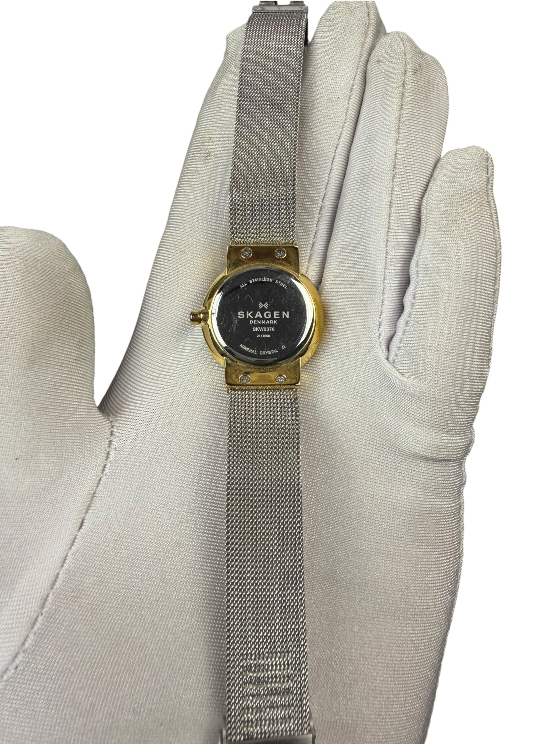 Skagen 2 Tone watch