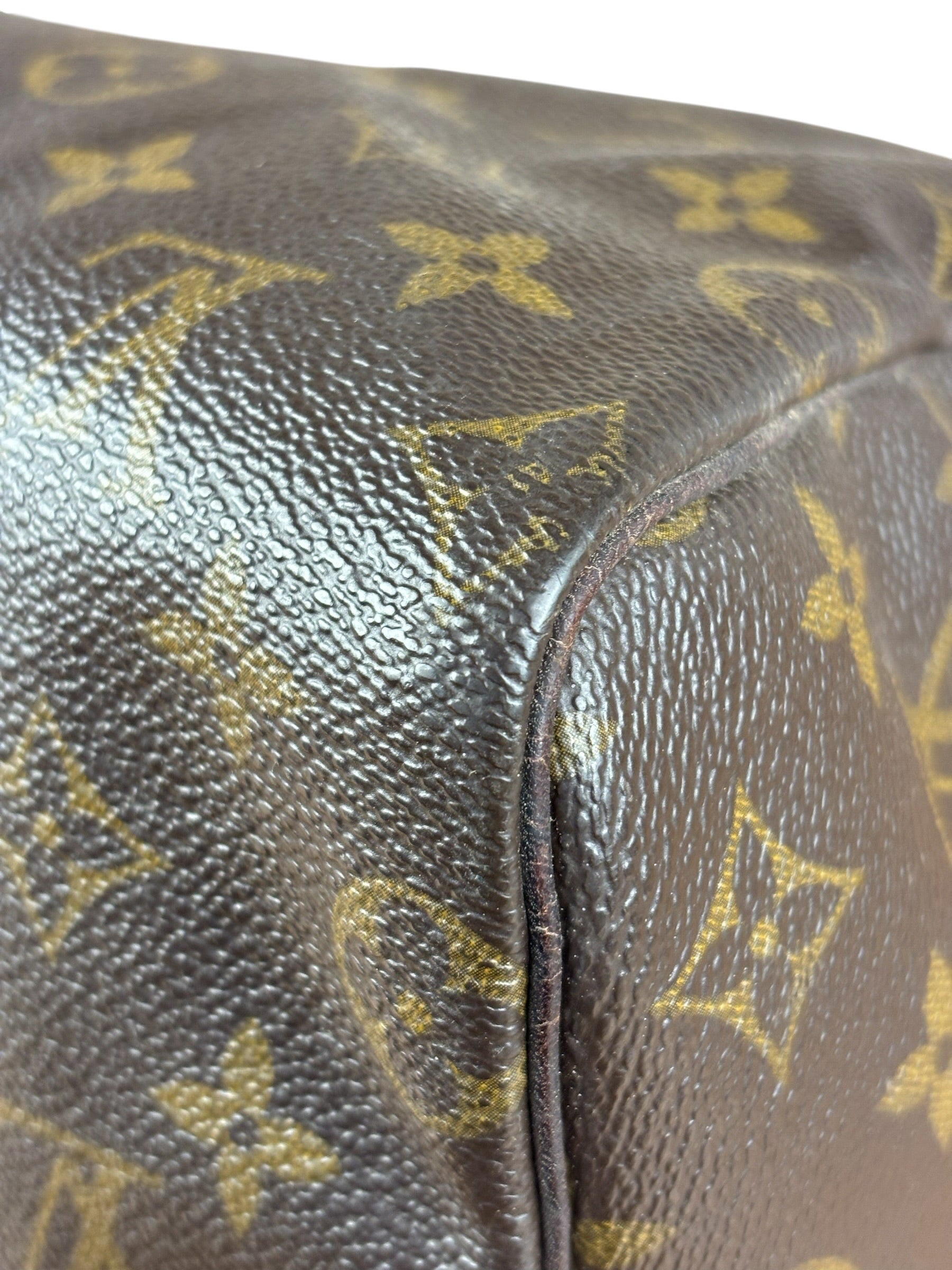 Louis Vuitton Monogram Speedy 25