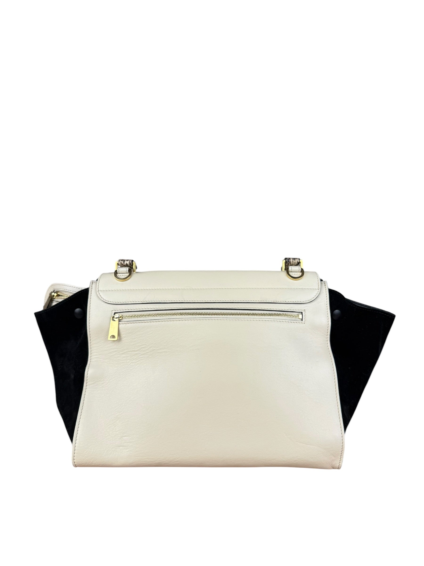 Celine Trapeze Leather 2Way Python Handle Handbag