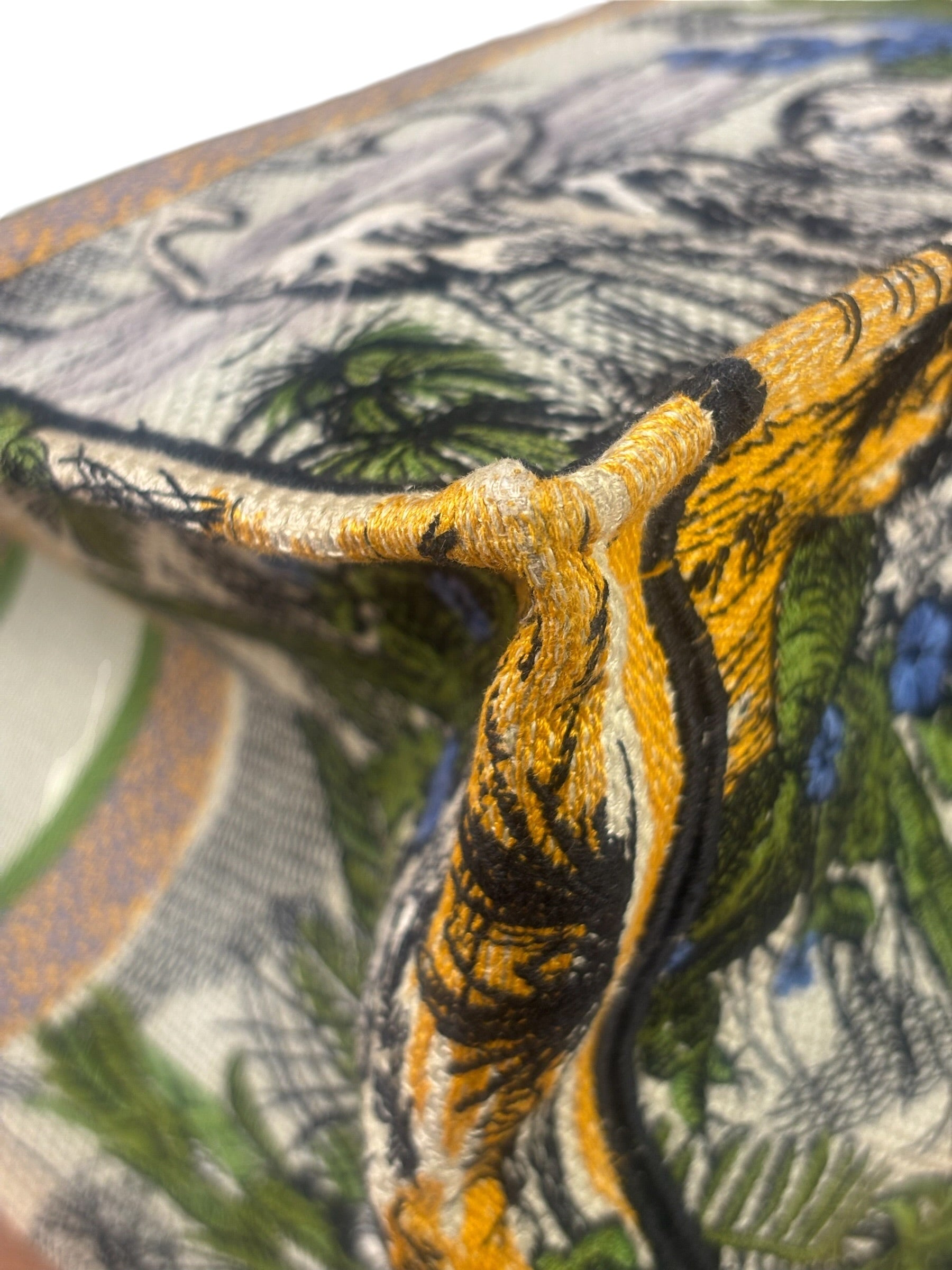 Christian Dior Large Toile De Jour Tropicalia Book Tote