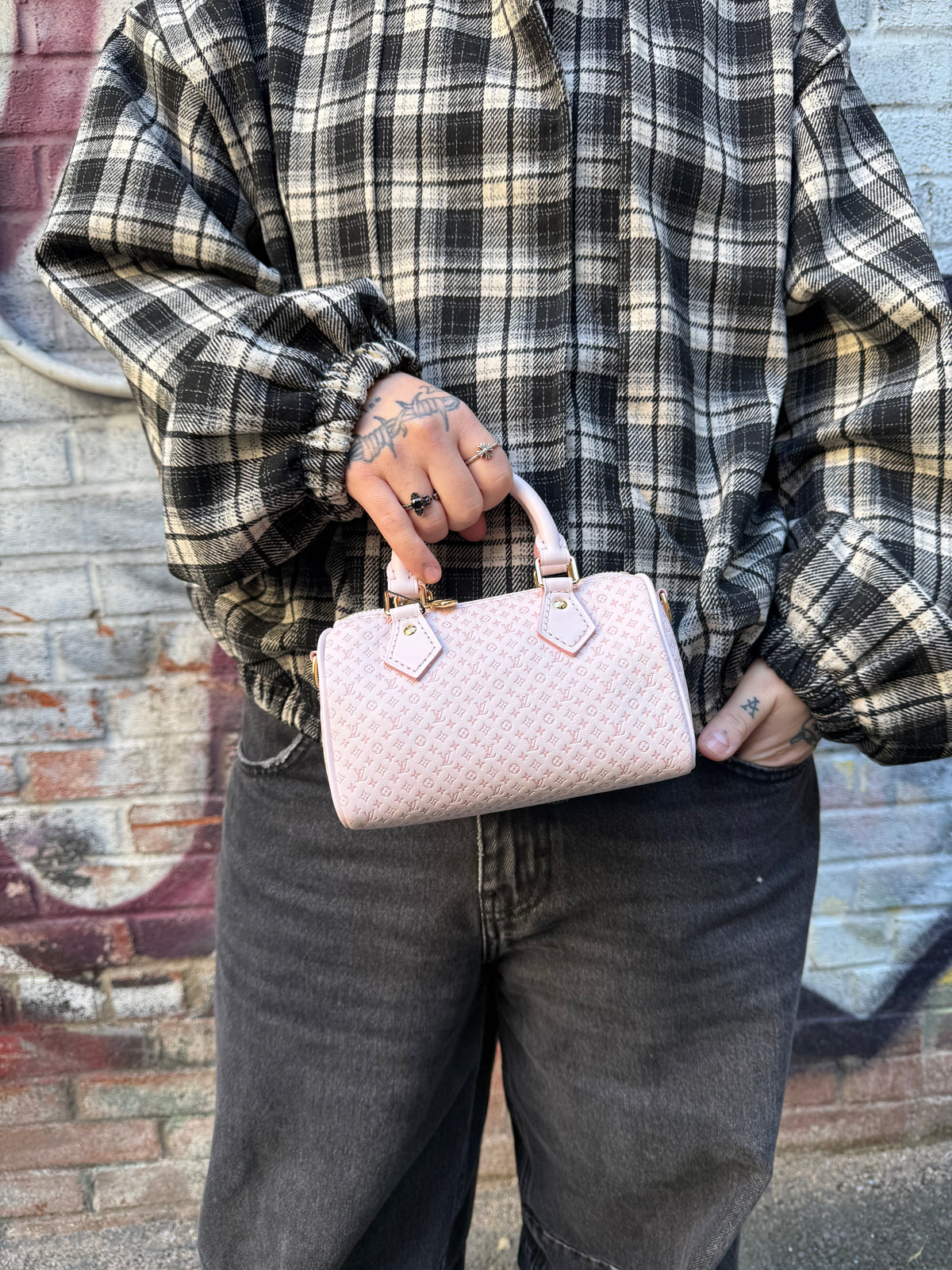 Louis Vuitton Light Bliss Monogram Nano Speedy