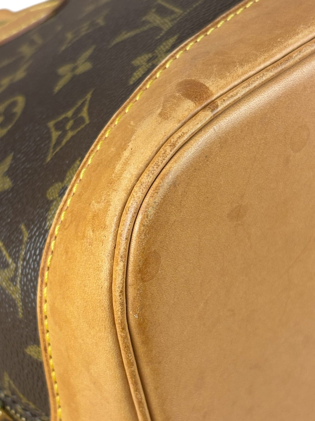Louis Vuitton Monogram Alma MM