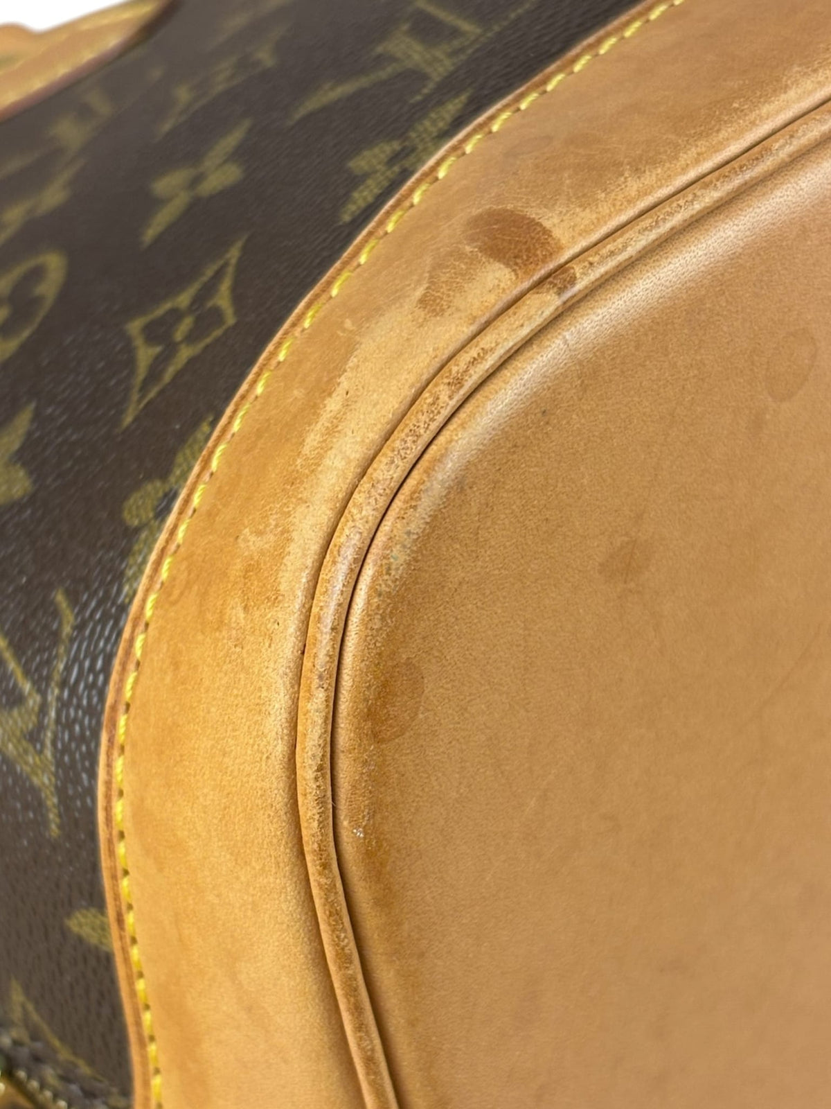 Louis Vuitton Monogram Alma MM