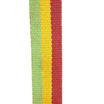 Christian Dior Vintage Trotter Canvas Rasta Crossbody Bag