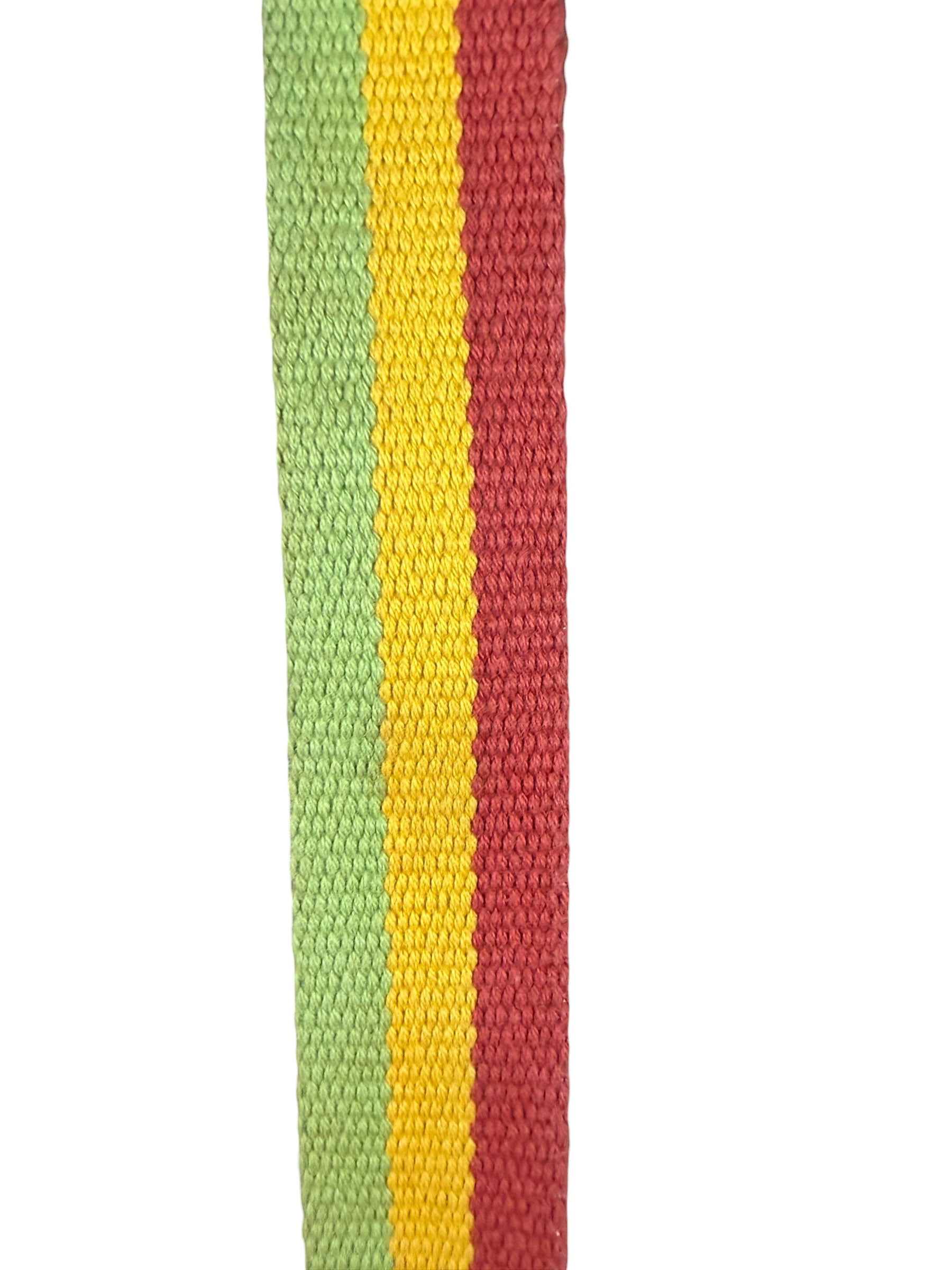 Christian Dior Vintage Trotter Canvas Rasta Crossbody Bag
