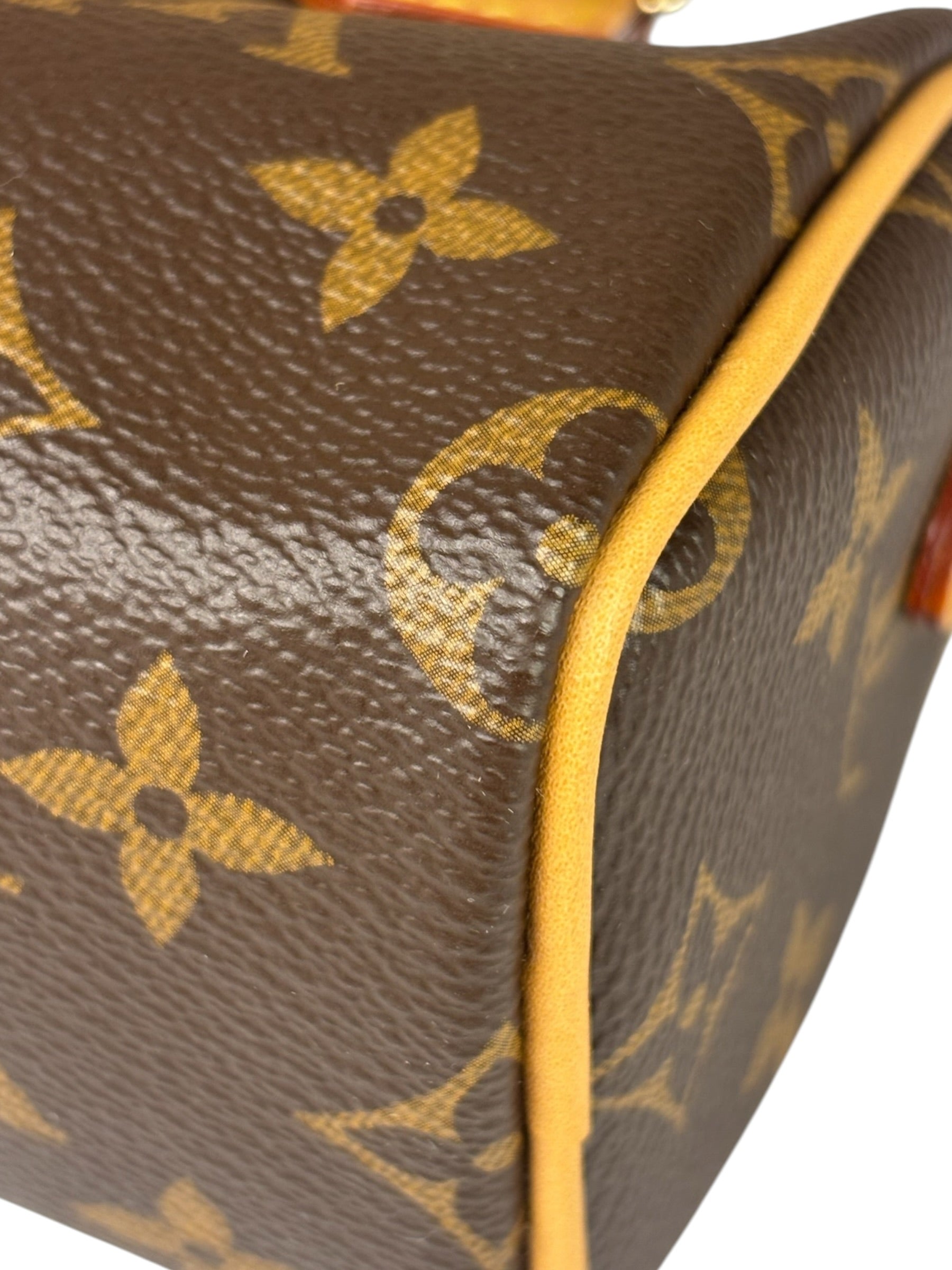 Louis Vuitton Monogram Nano Speedy Two-Way Bag