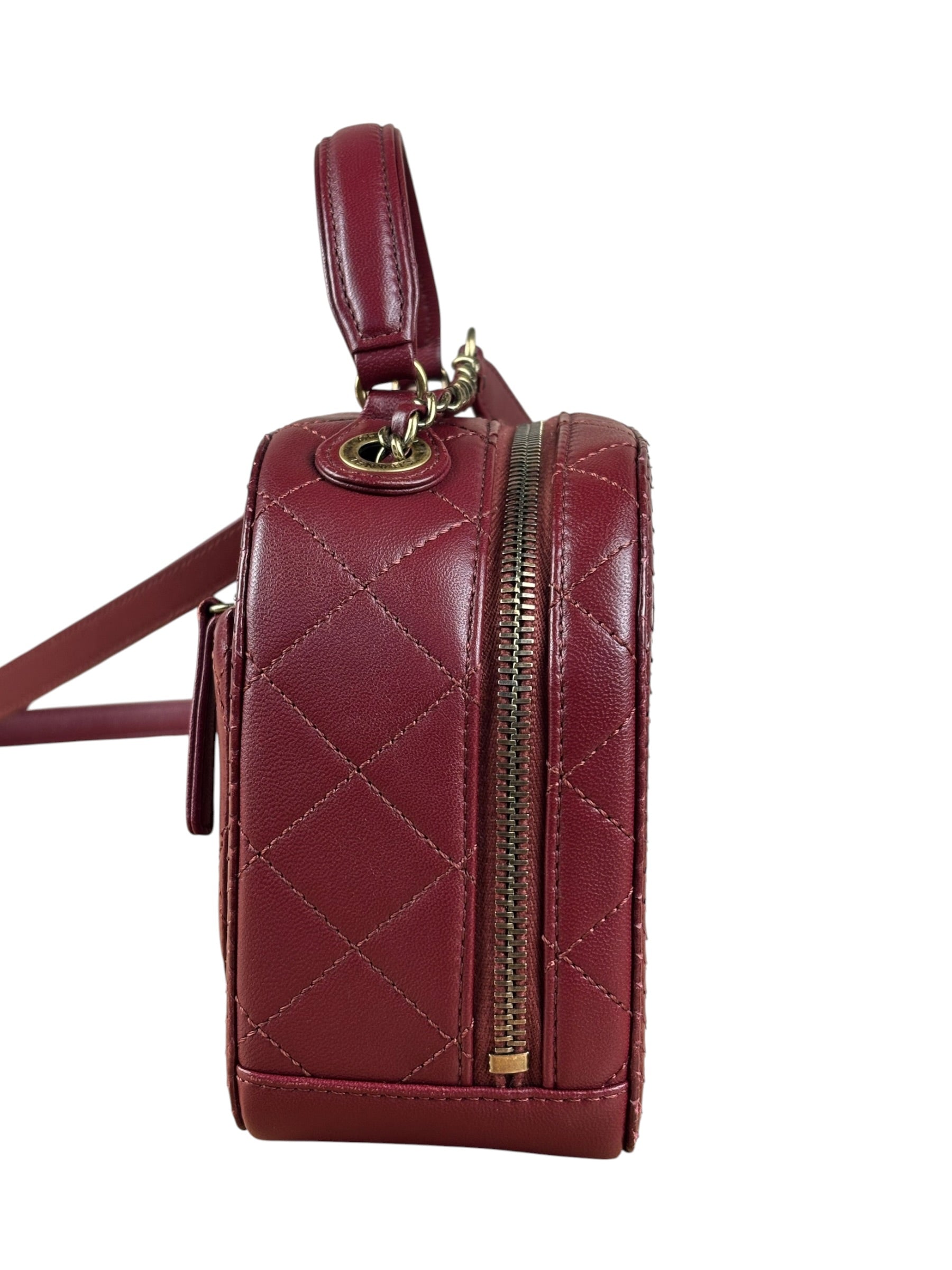Chanel Burgundy Python Quilted Leather Vanity Two-Way Bag 2017
