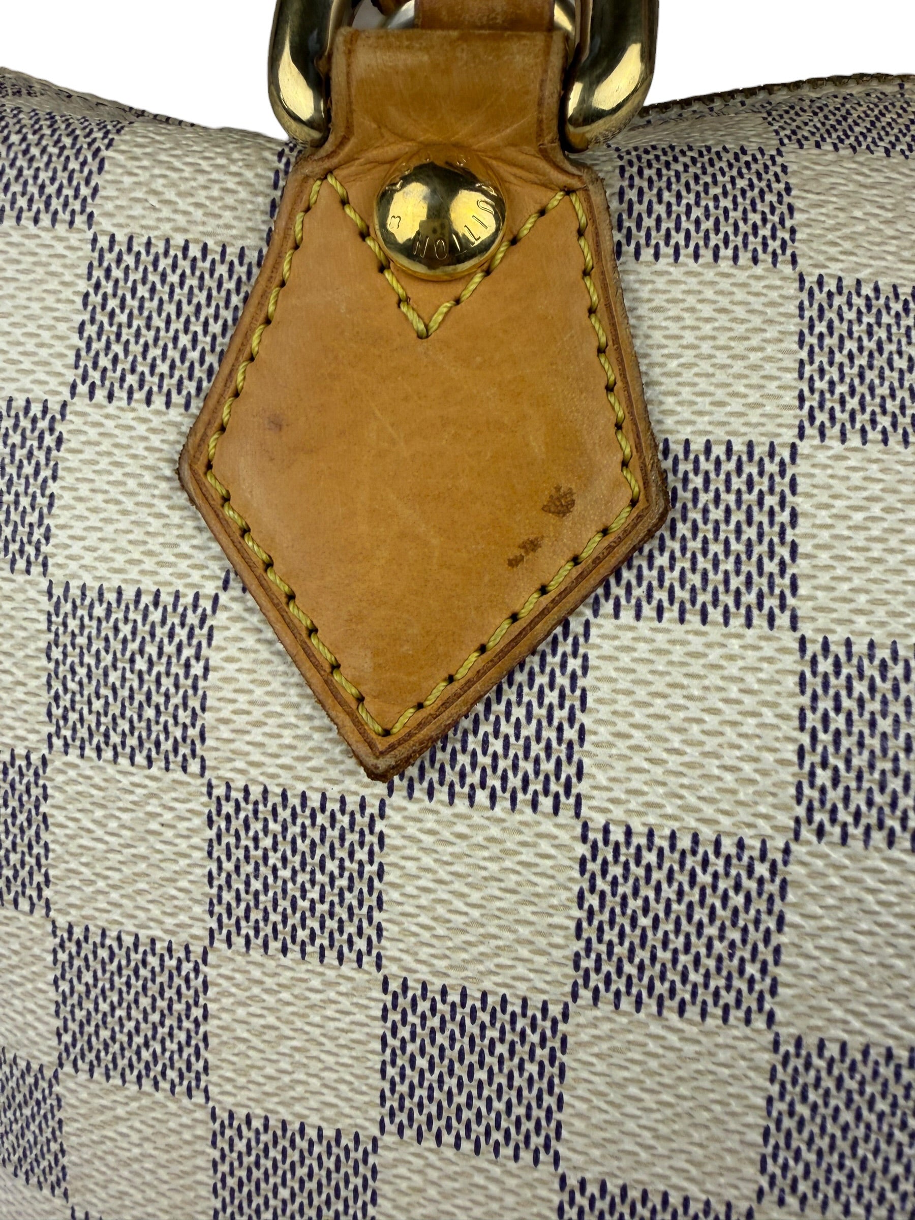 Louis Vuitton Damire Azur Saleya Tote Bag MM