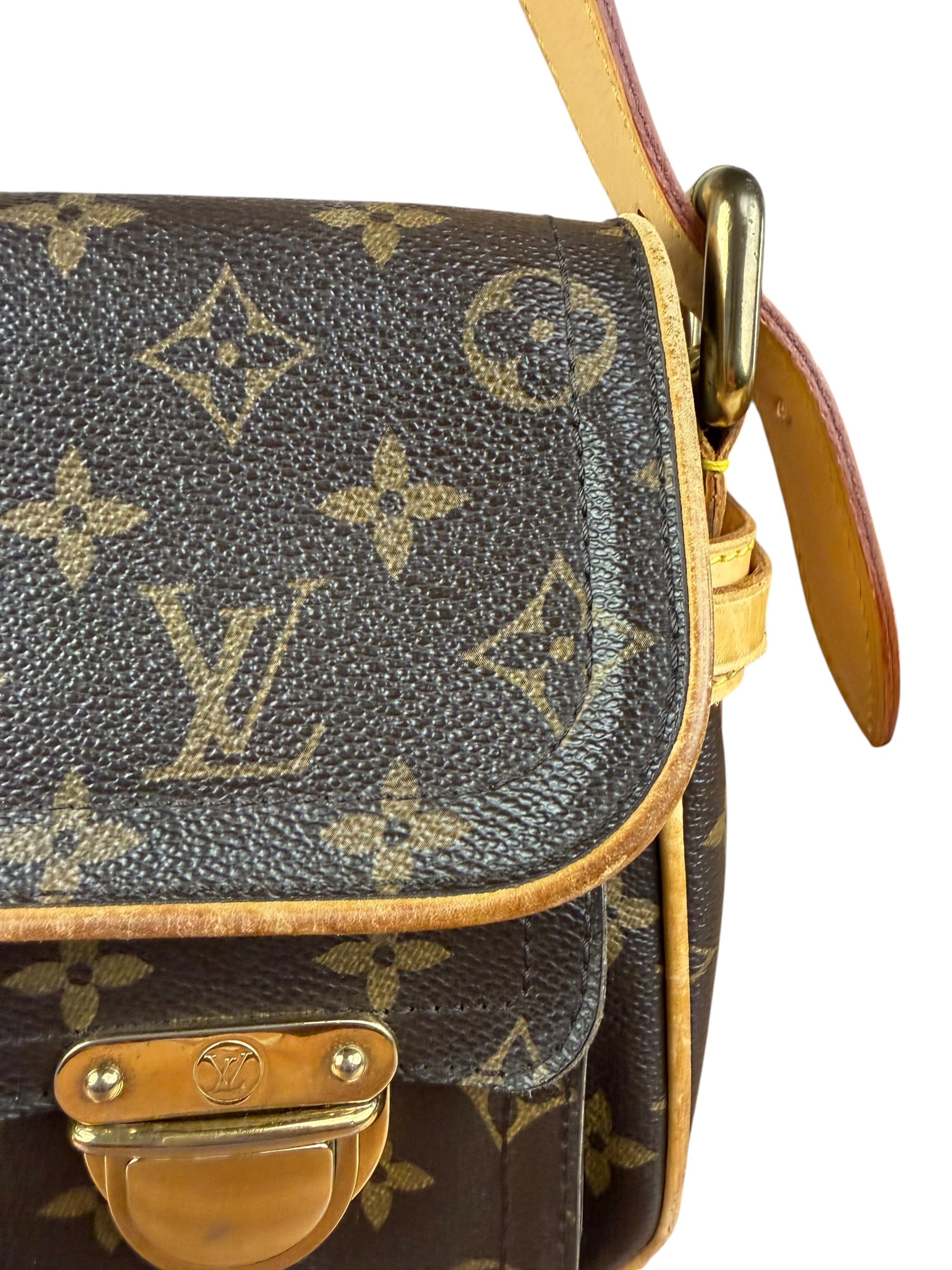 Louis Vuitton Monogram Hudson Two-Way Bag PM