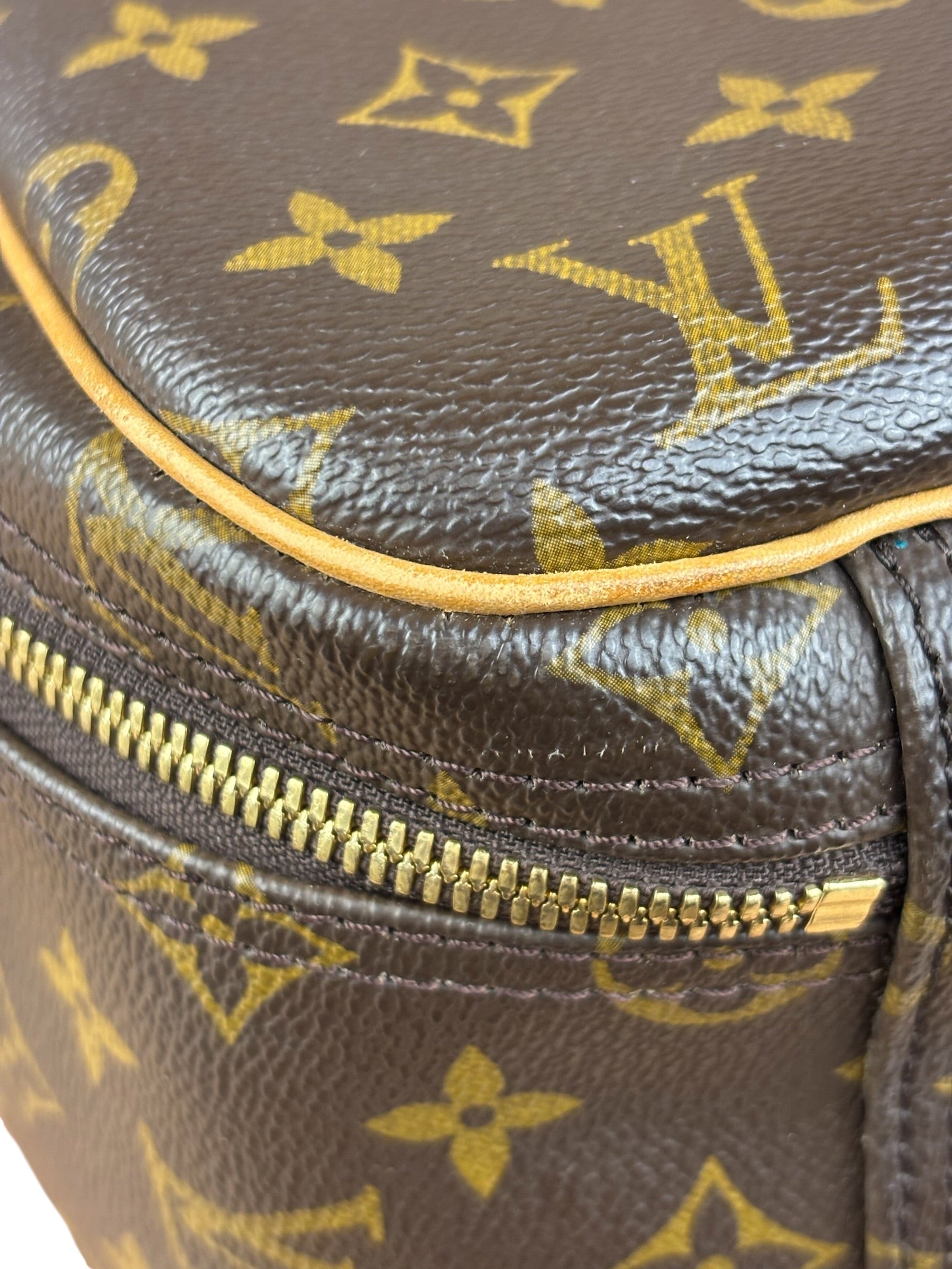 Louis Vuitton Monogram Excursion Top-Handle Bag