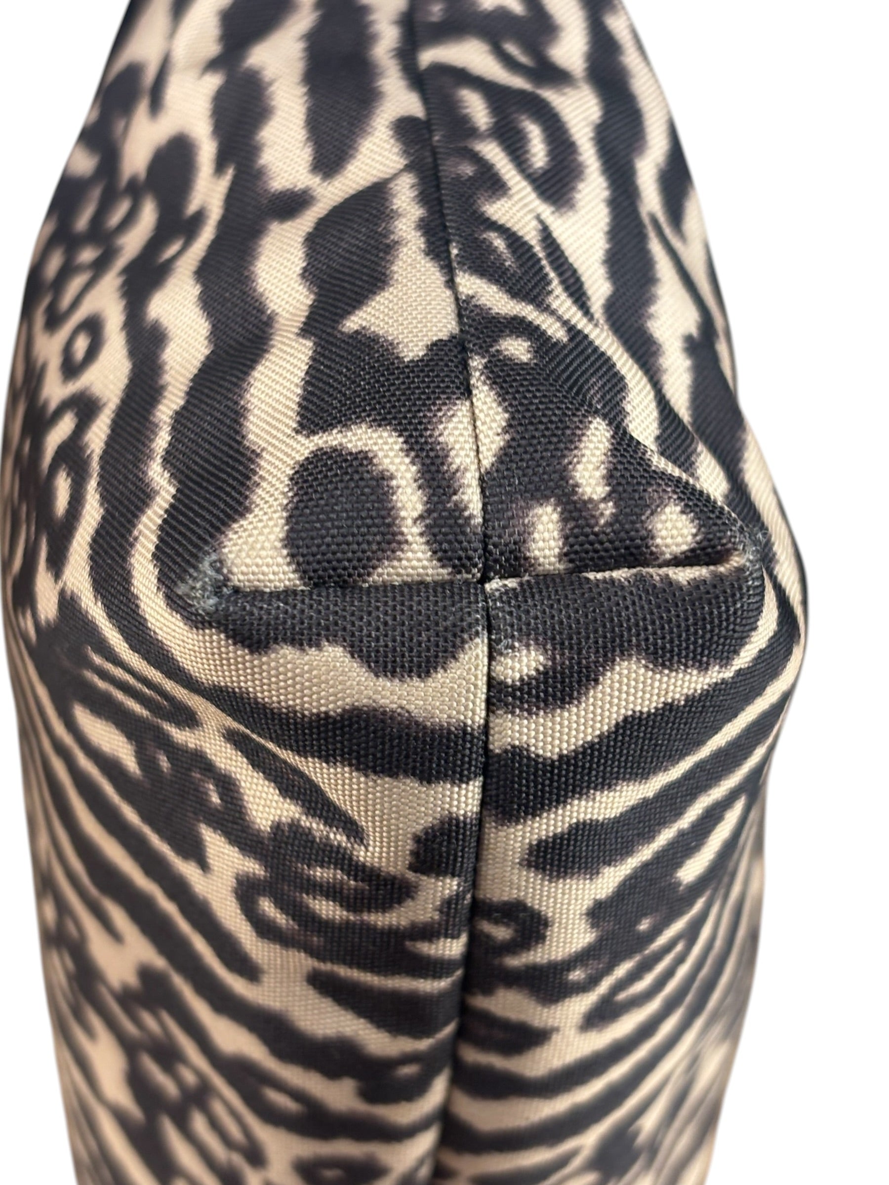 Coach Leopard Print Canvas Crossbody