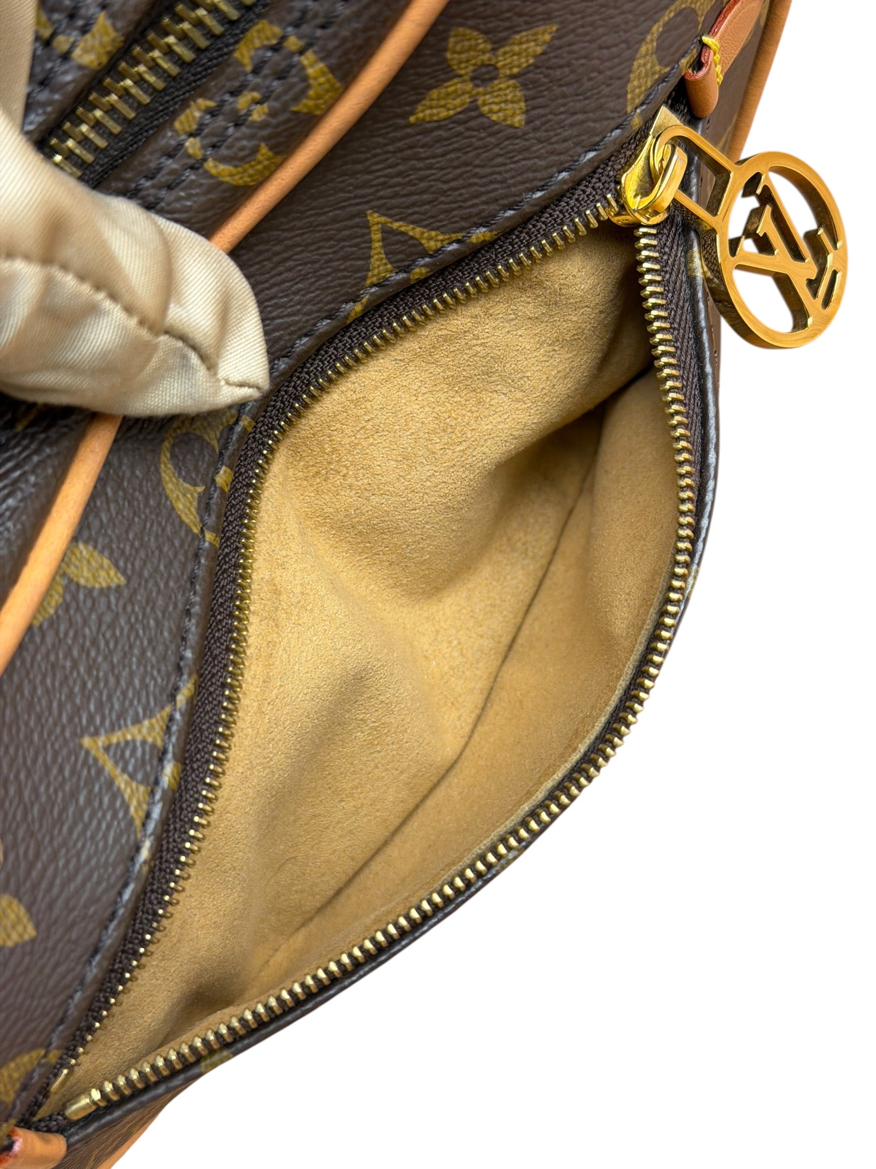 Louis Vuitton Monogram Loop Pochette