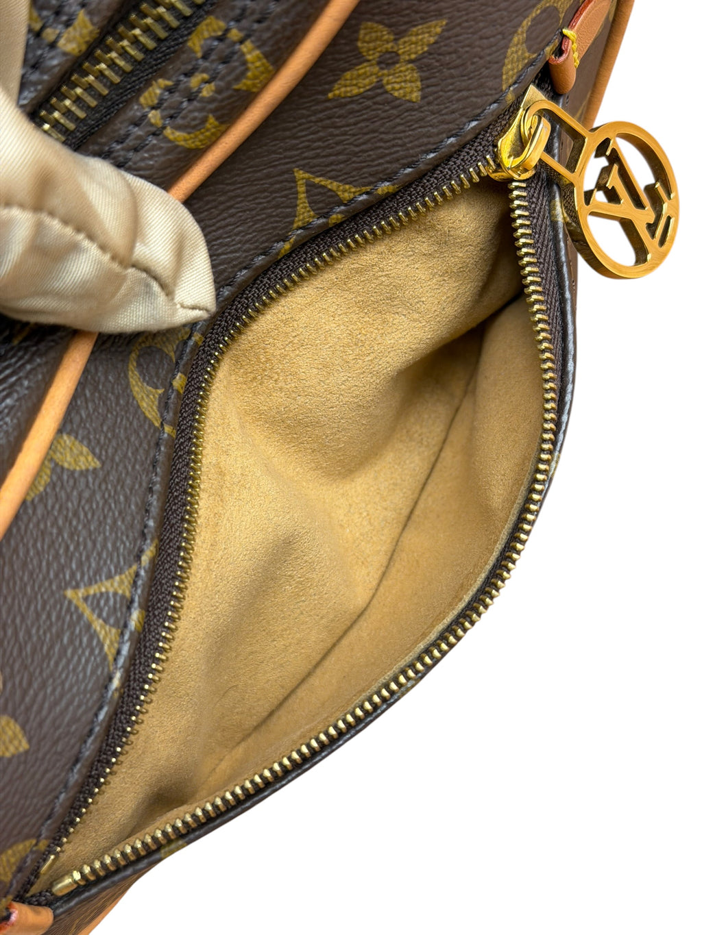 Louis Vuitton Monogram Loop Pochette
