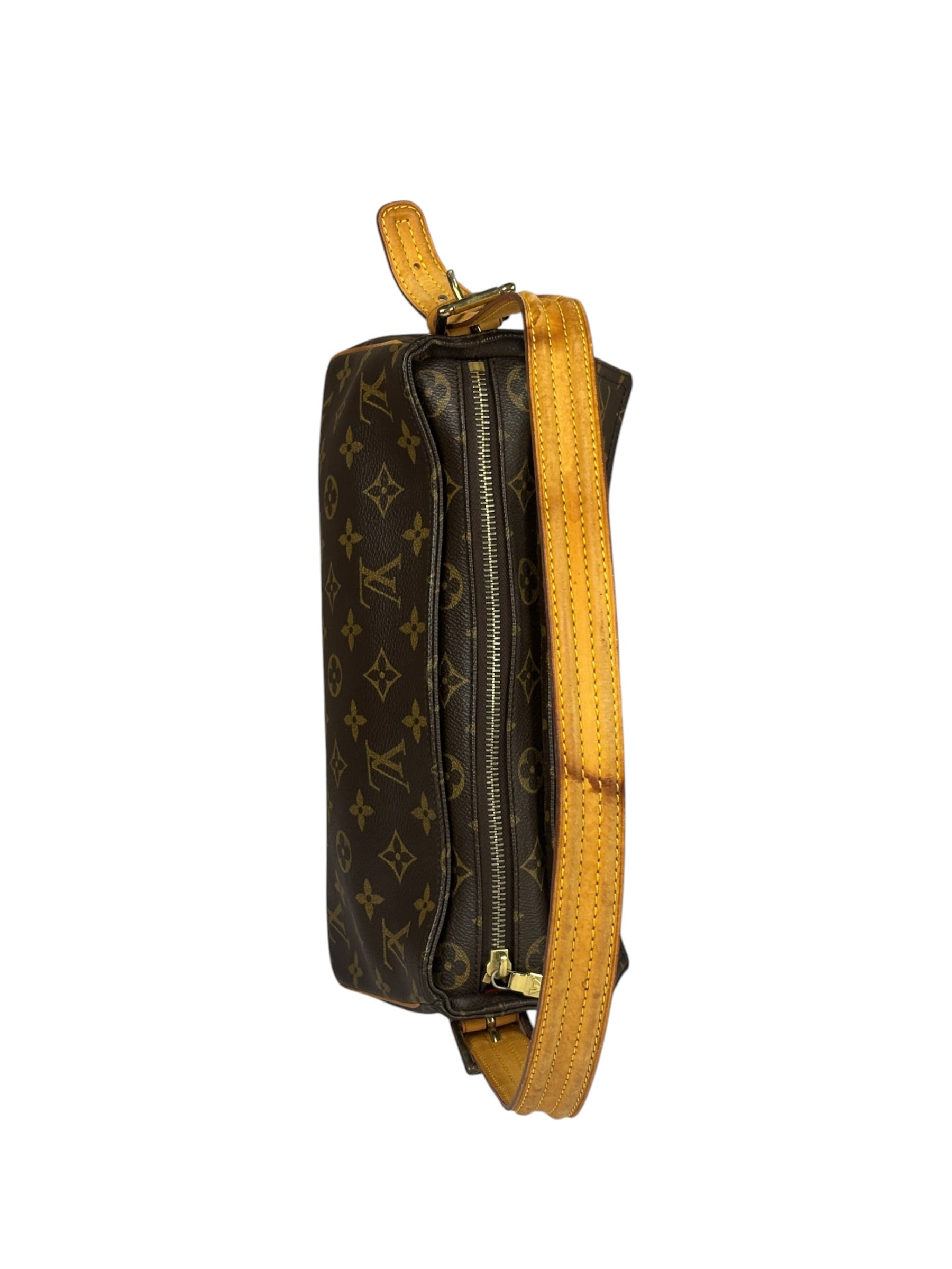 Louis Vuitton Monogram Viva Cite Shoulder Bag PM