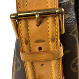 Louis Vuitton Monogram Viva Cite MM