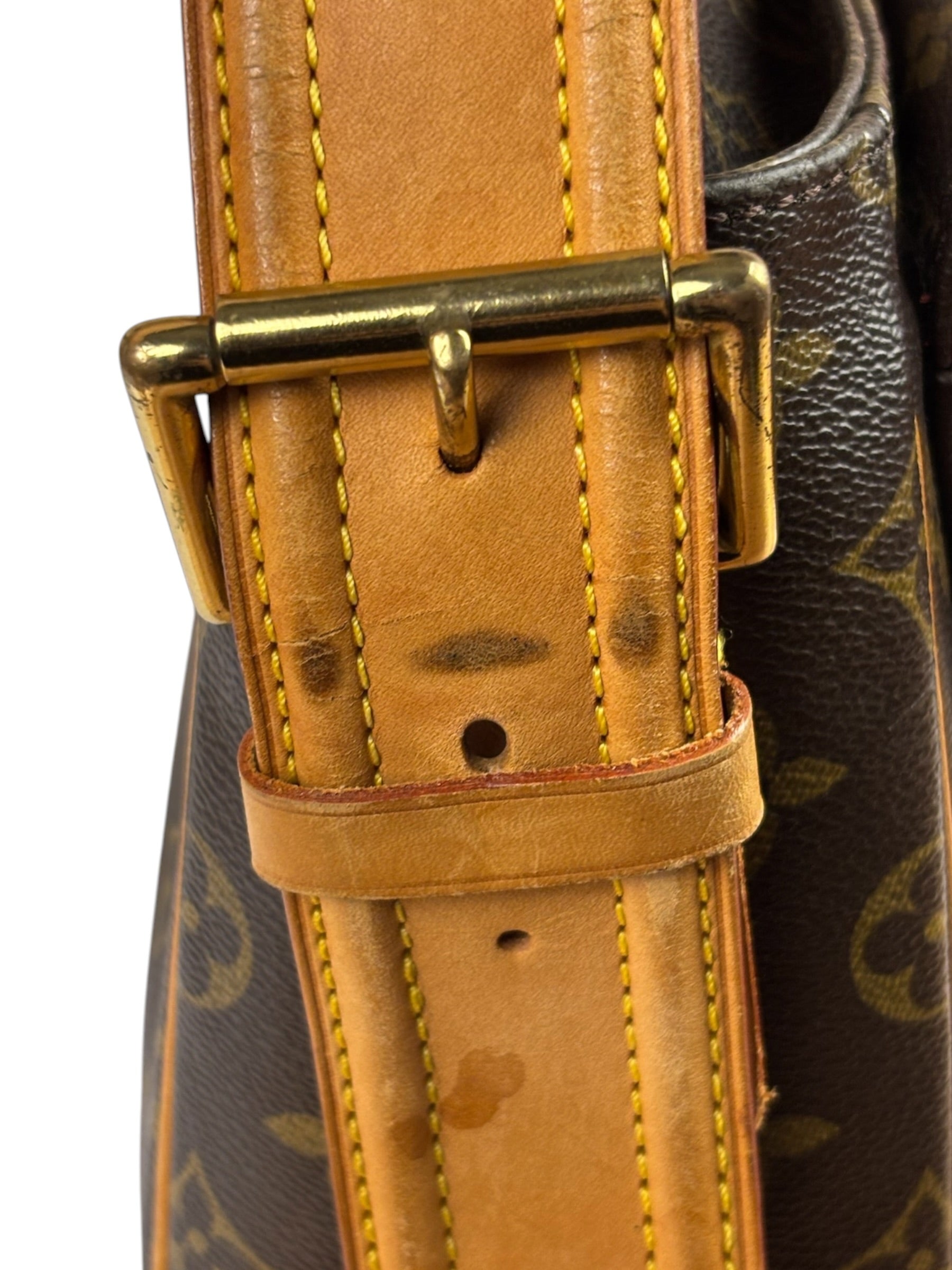 Louis Vuitton Monogram Viva Cite MM