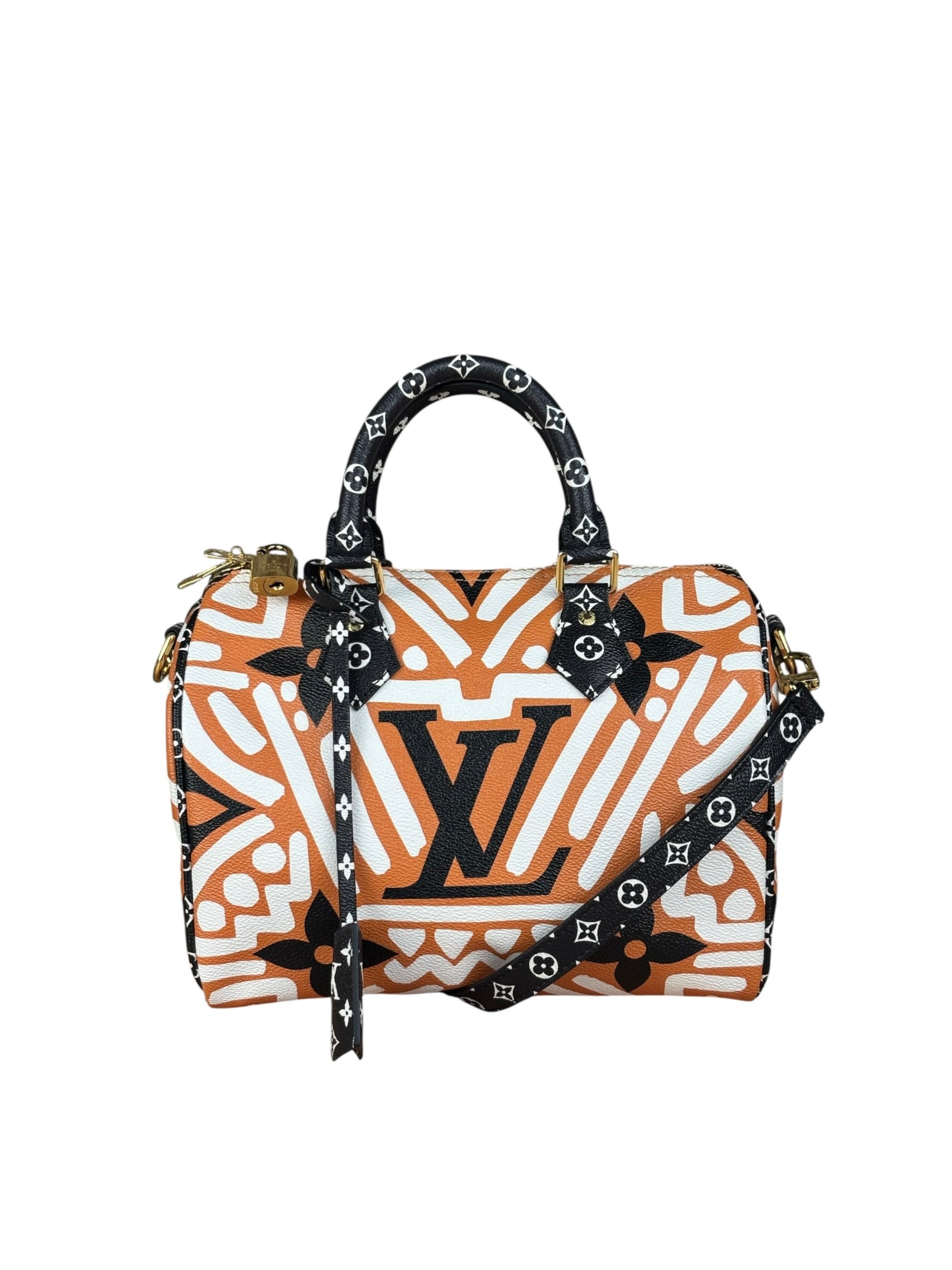 Louis Vuitton Multicolor Crafty Speedy Bandouliere 25