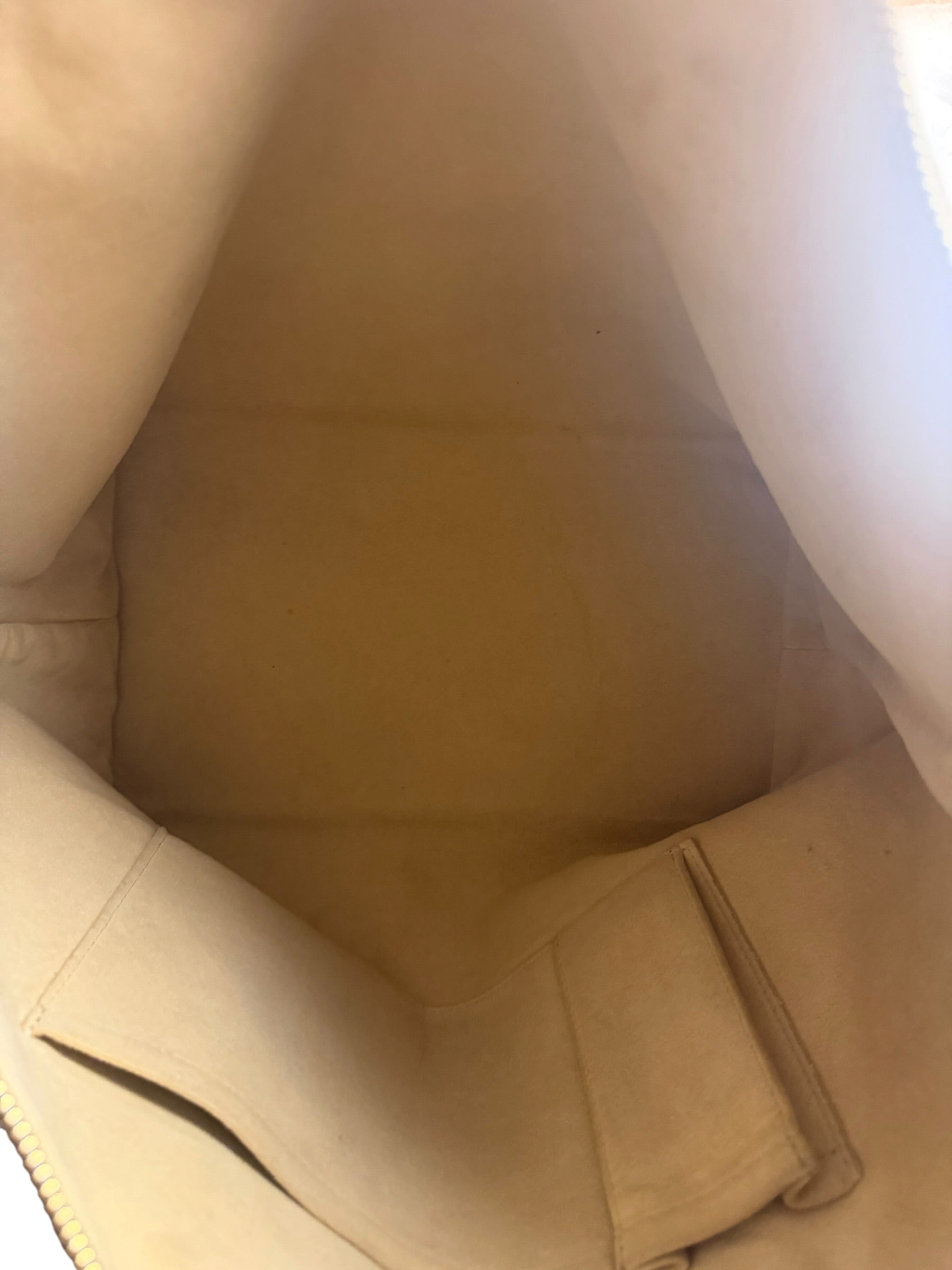 Louis Vuitton Damire Azur Saleya Tote Bag MM