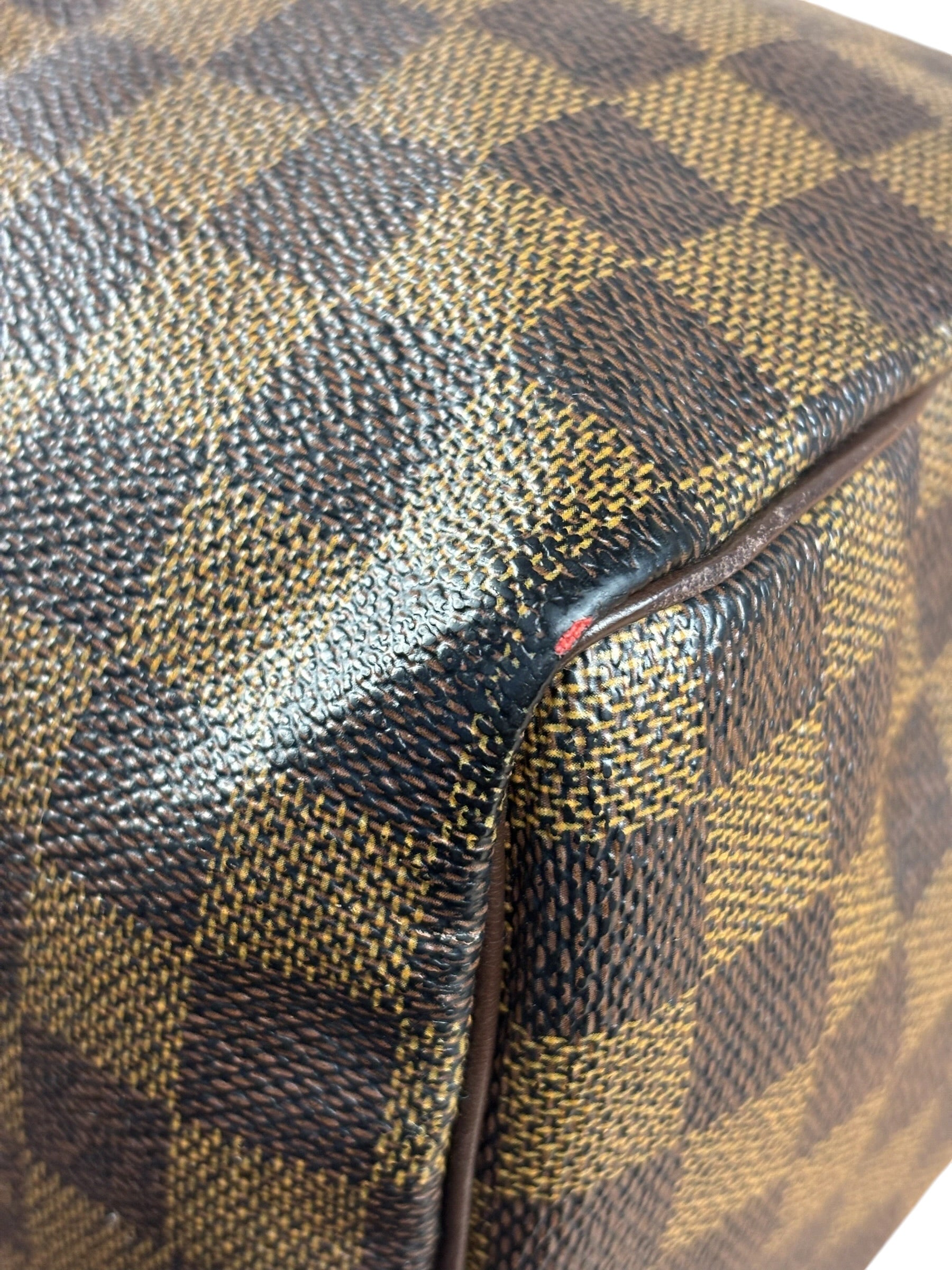 Louis Vuitton Damier Ebene Speedy 25