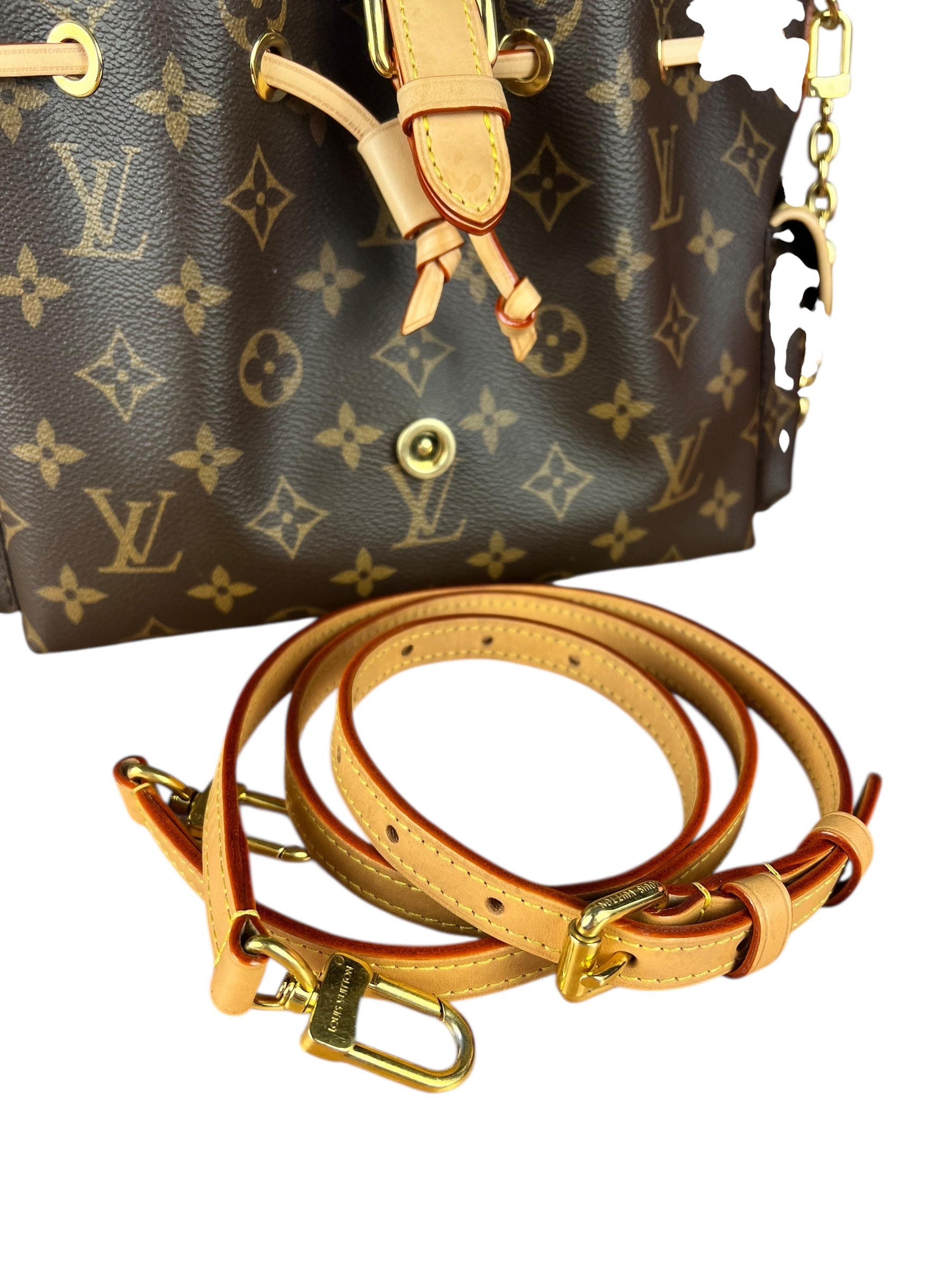 Louis Vuitton Monogram Odyssee