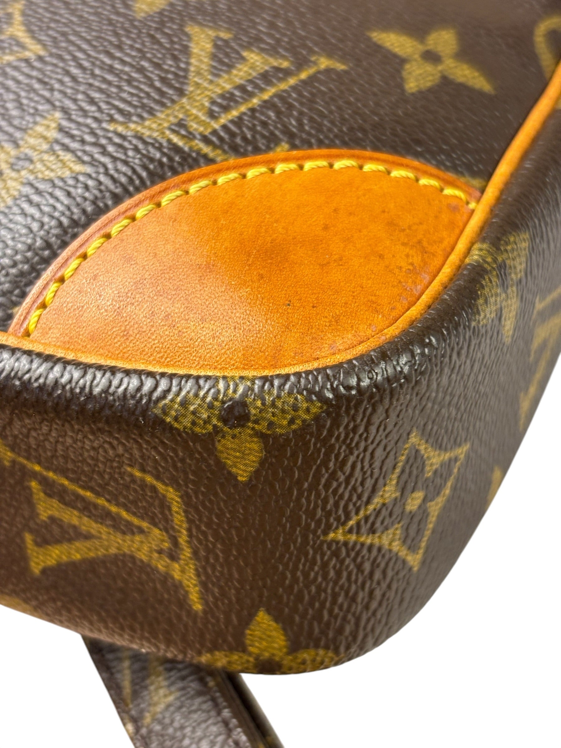 Louis Vuitton Monogram Danube Crossbody Bag