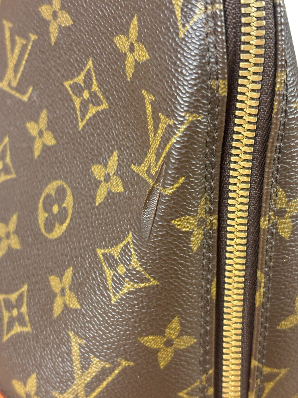Louis Vuitton Monogram Alma Handbag MM