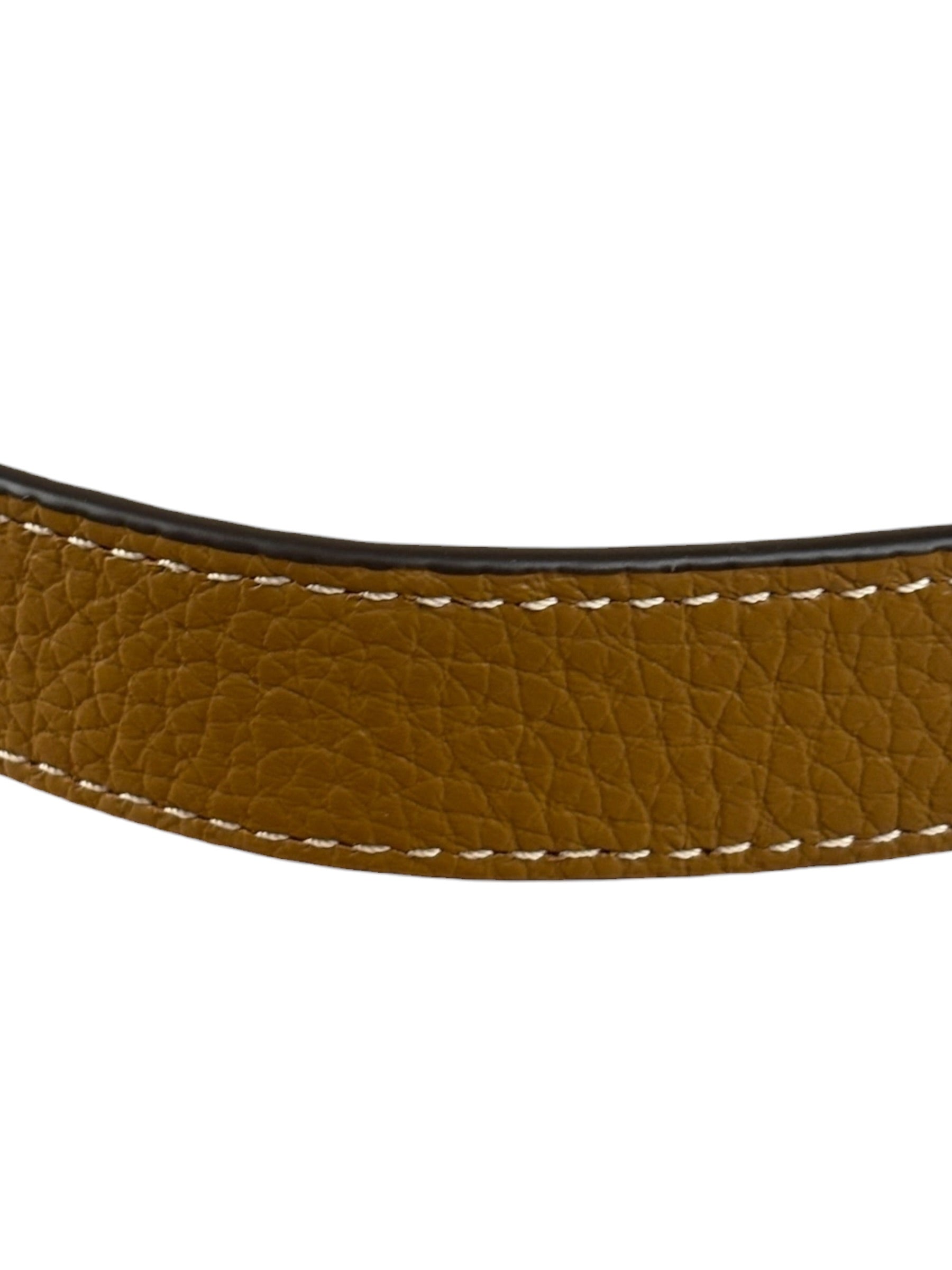 Coach Colorblock Leather Teri Pochette/Crossbody Bag