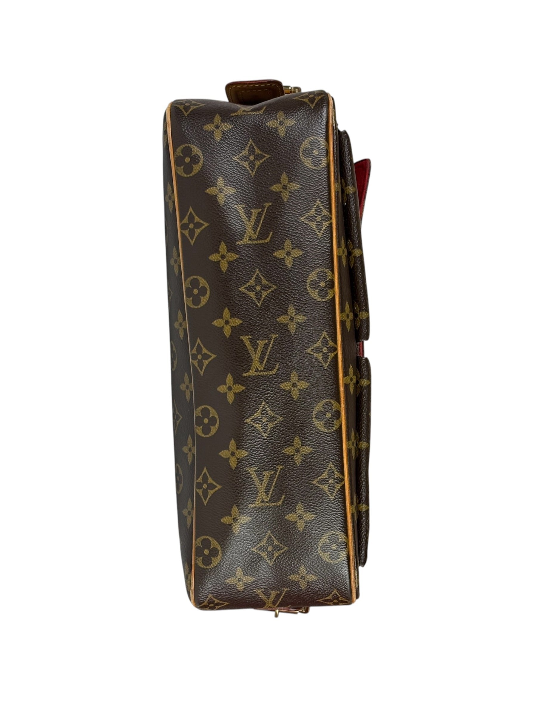 Louis Vuitton Monogram Viva Cite MM
