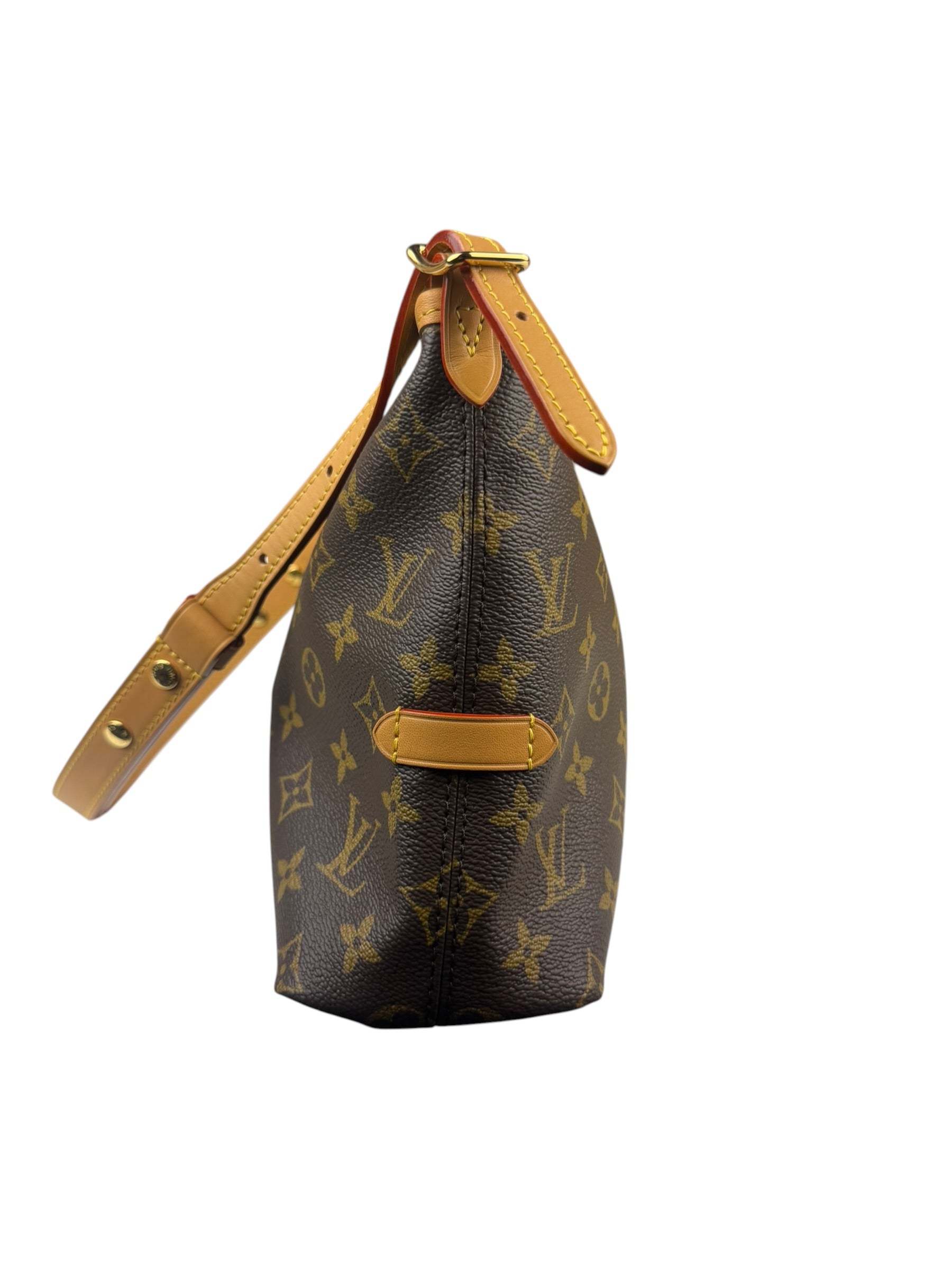 Louis Vuitton Monogram CarryAll Bag MM