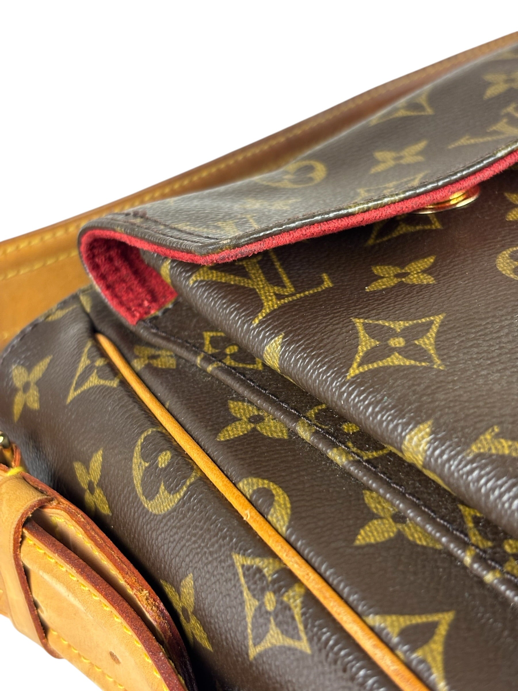 Louis Vuitton Monogram Viva Cite MM