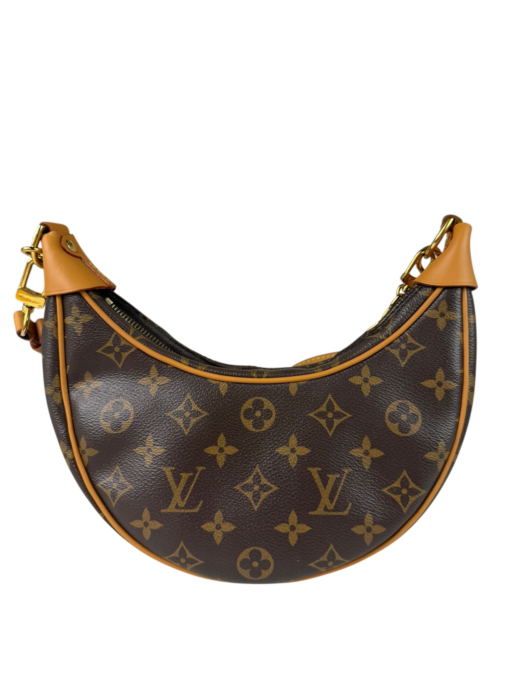 Louis Vuitton Monogram Loop Pochette