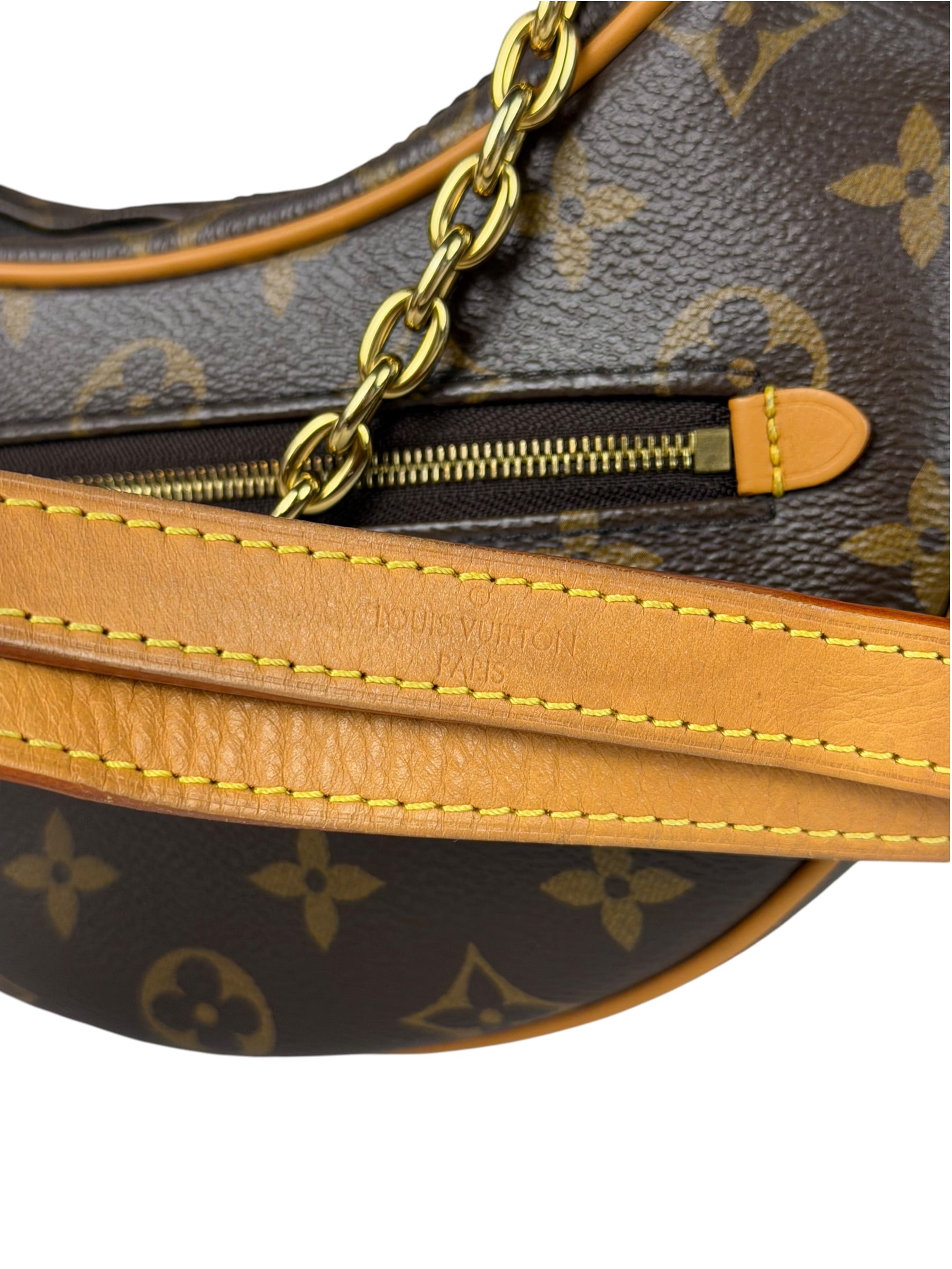Louis Vuitton Monogram Loop Pochette