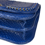 Chanel Braided Chic Python Flap Bag 2017