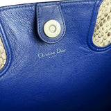 Christian Dior Python Trimmed Blue Addict Tote