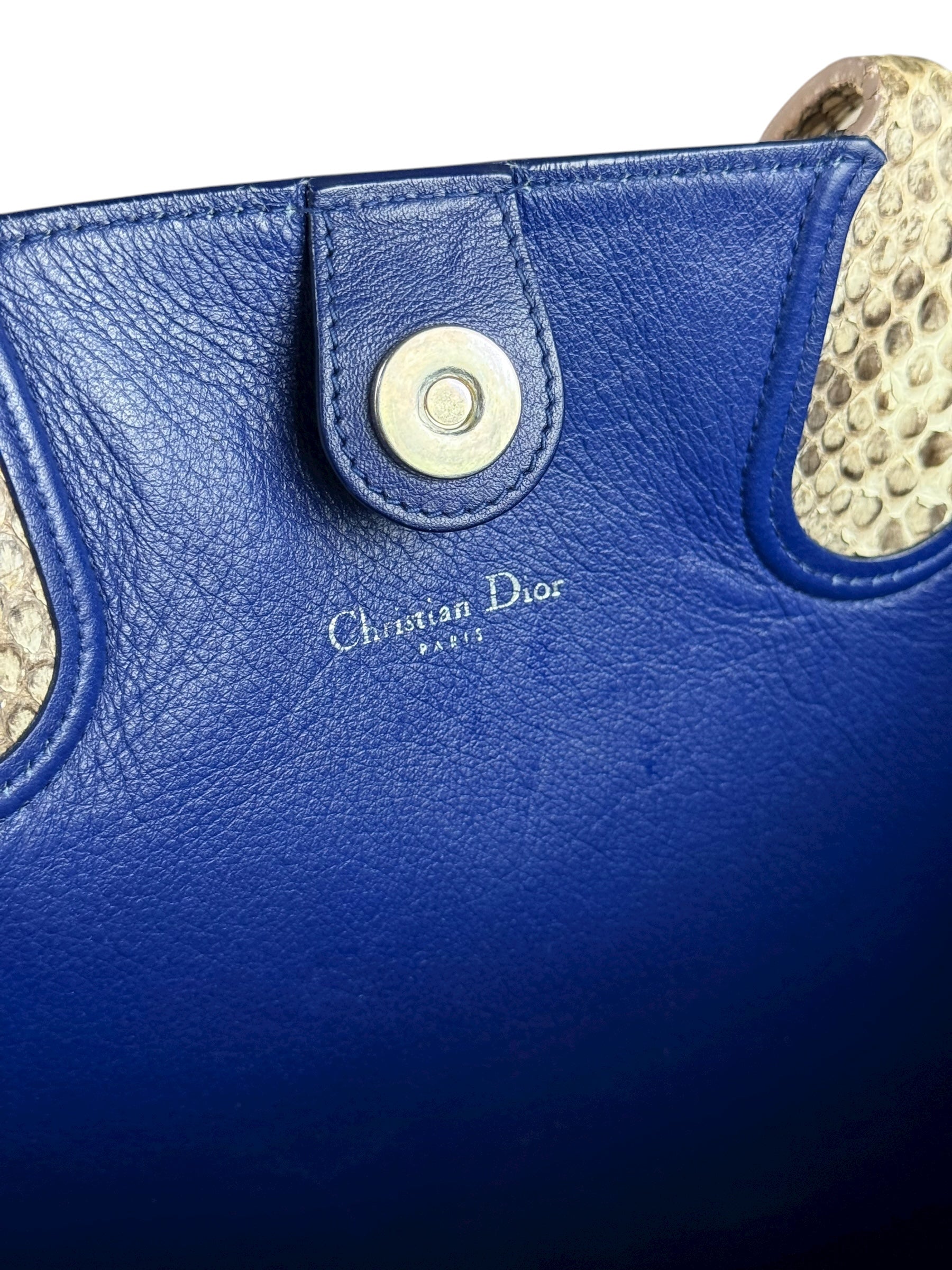 Christian Dior Python Trimmed Blue Addict Tote