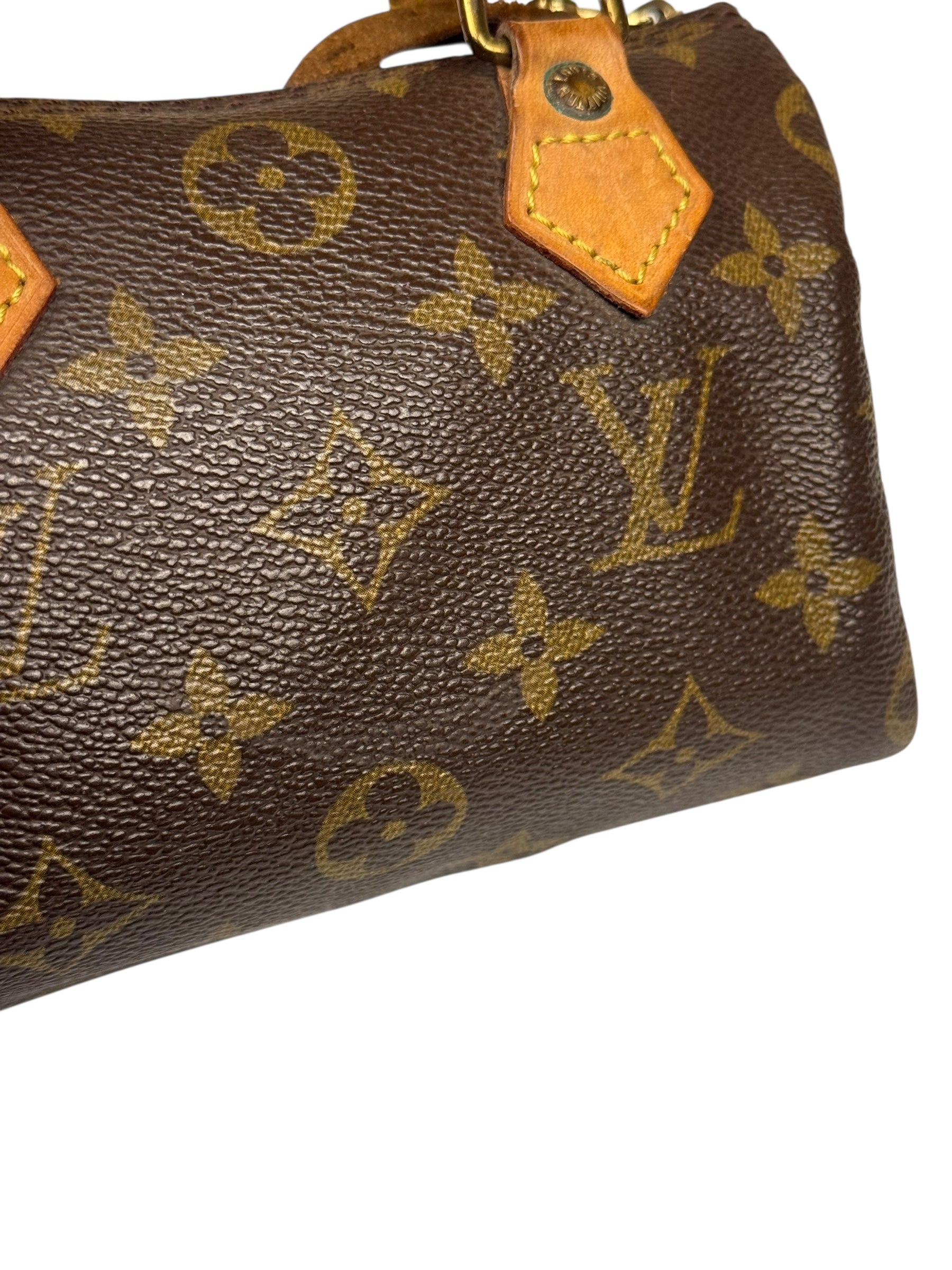 Louis Vuitton Monogram Nano Speedy Bag