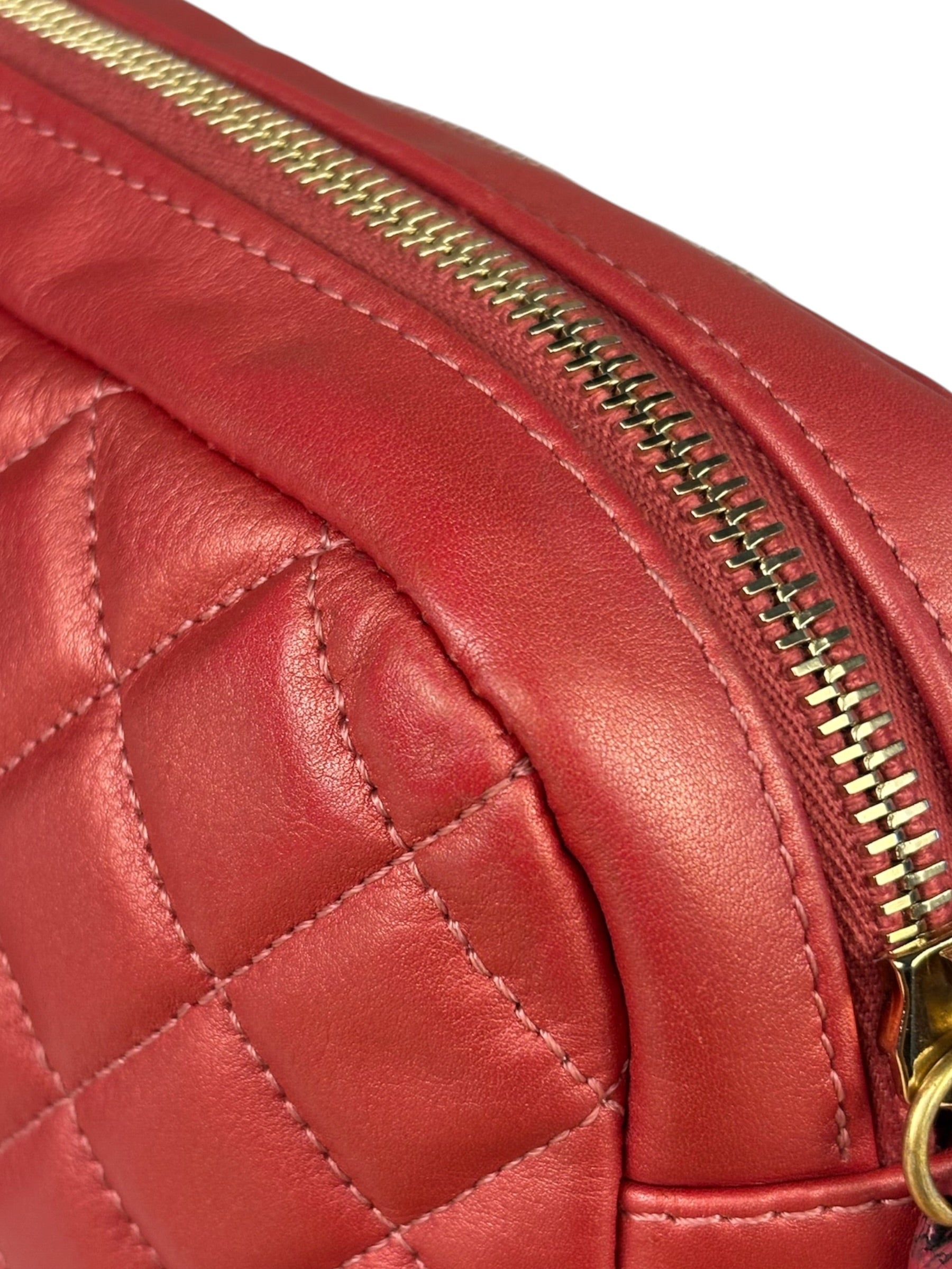 Chanel Pink Satin/Leather Trim Camera Bag 2019