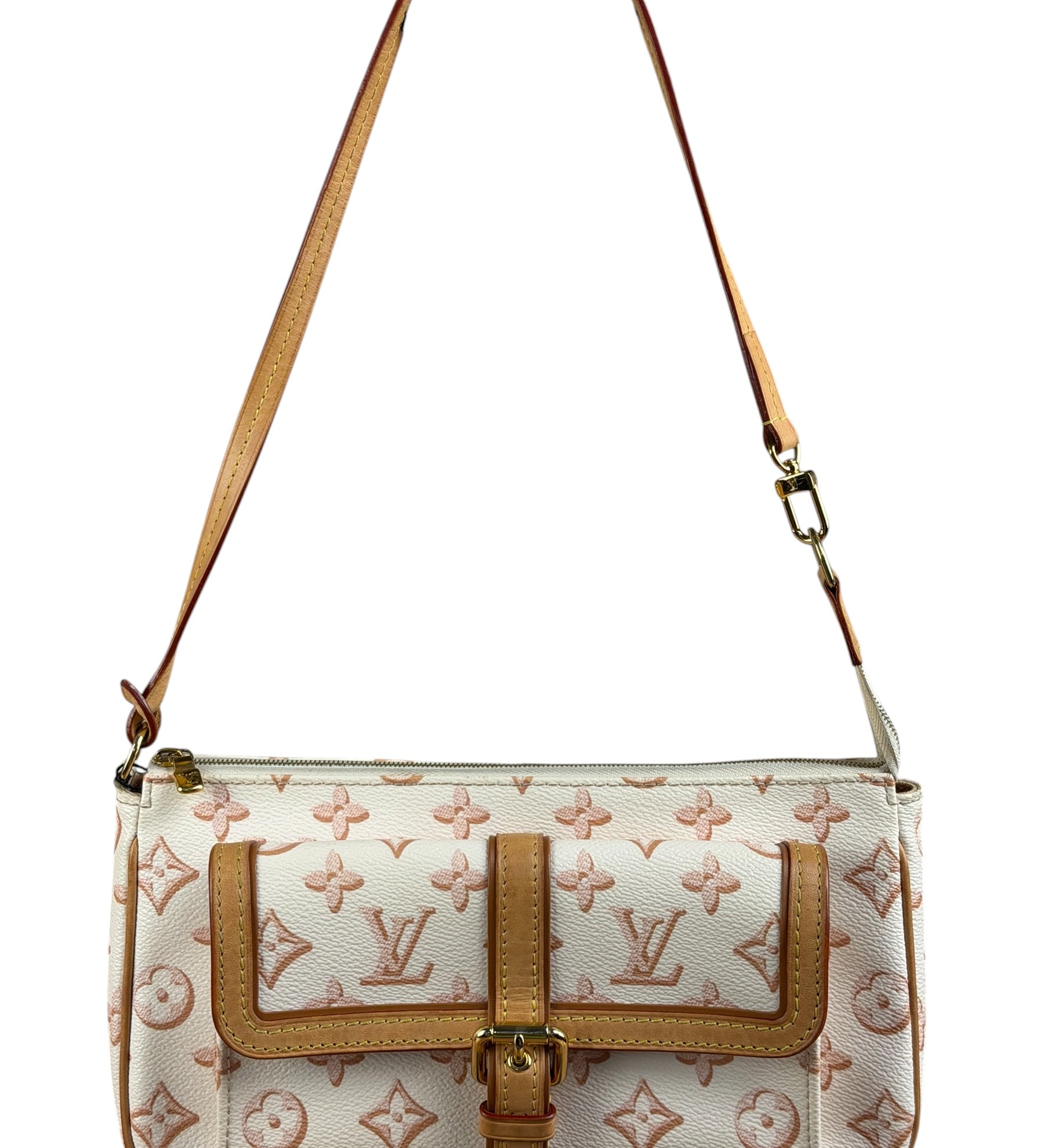 Louis Vuitton Monogram Maxi Multi Pochette