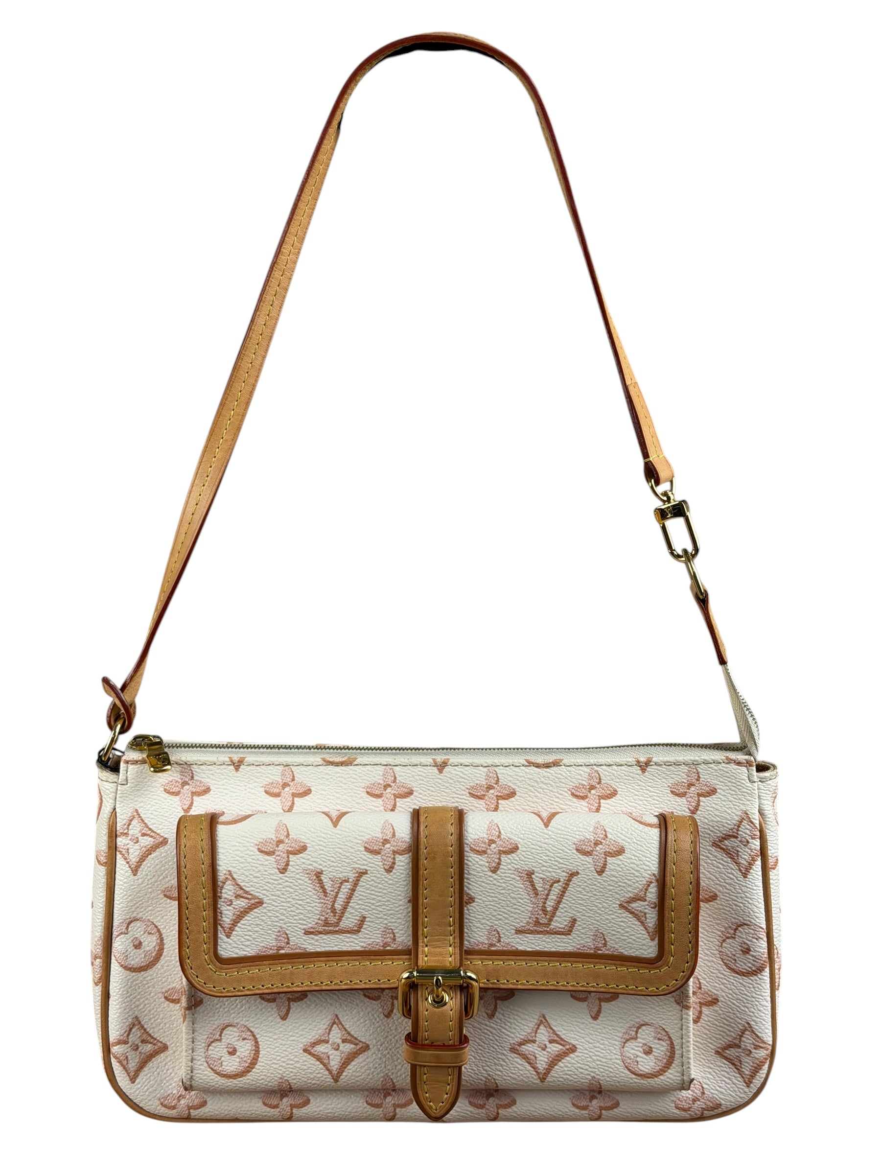 Louis Vuitton Monogram Maxi Multi Pochette