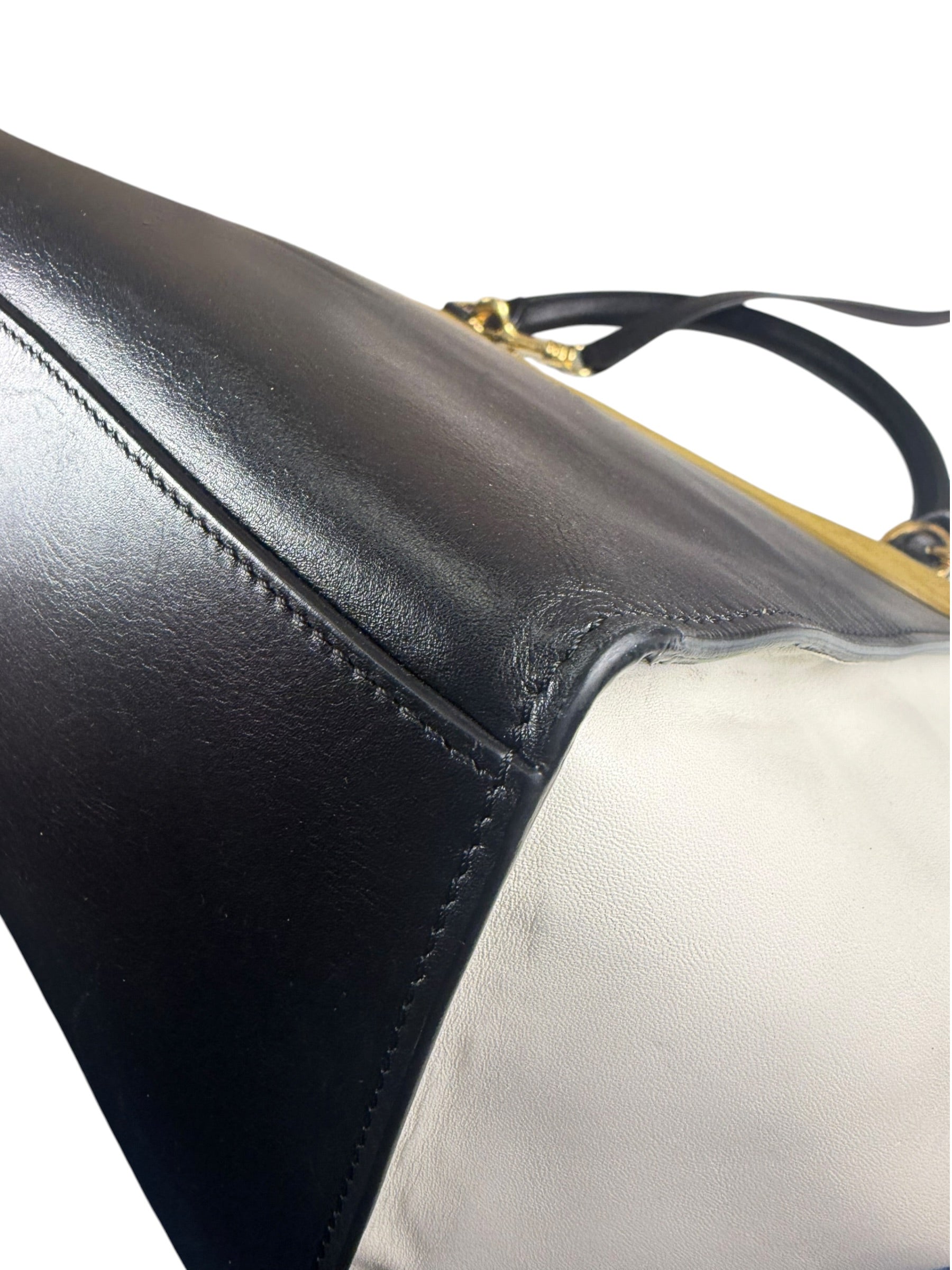 Celine Colorblock Leather/Suede Trapeze Two-Way Bag