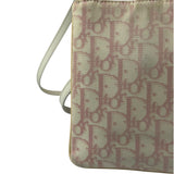 Dior Trotter Pink Canvas Crossbody Pouch
