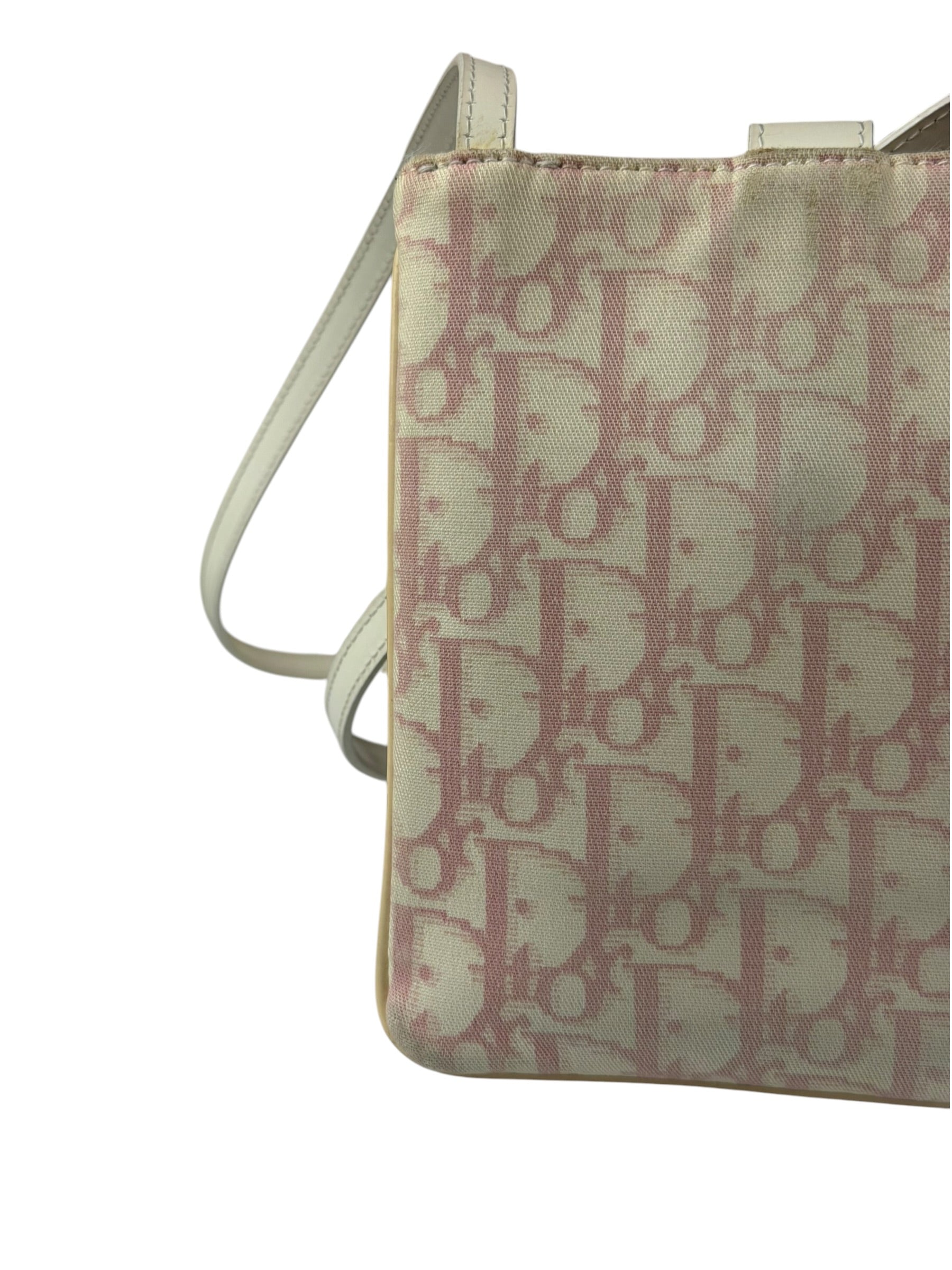 Dior Trotter Pink Canvas Crossbody Pouch