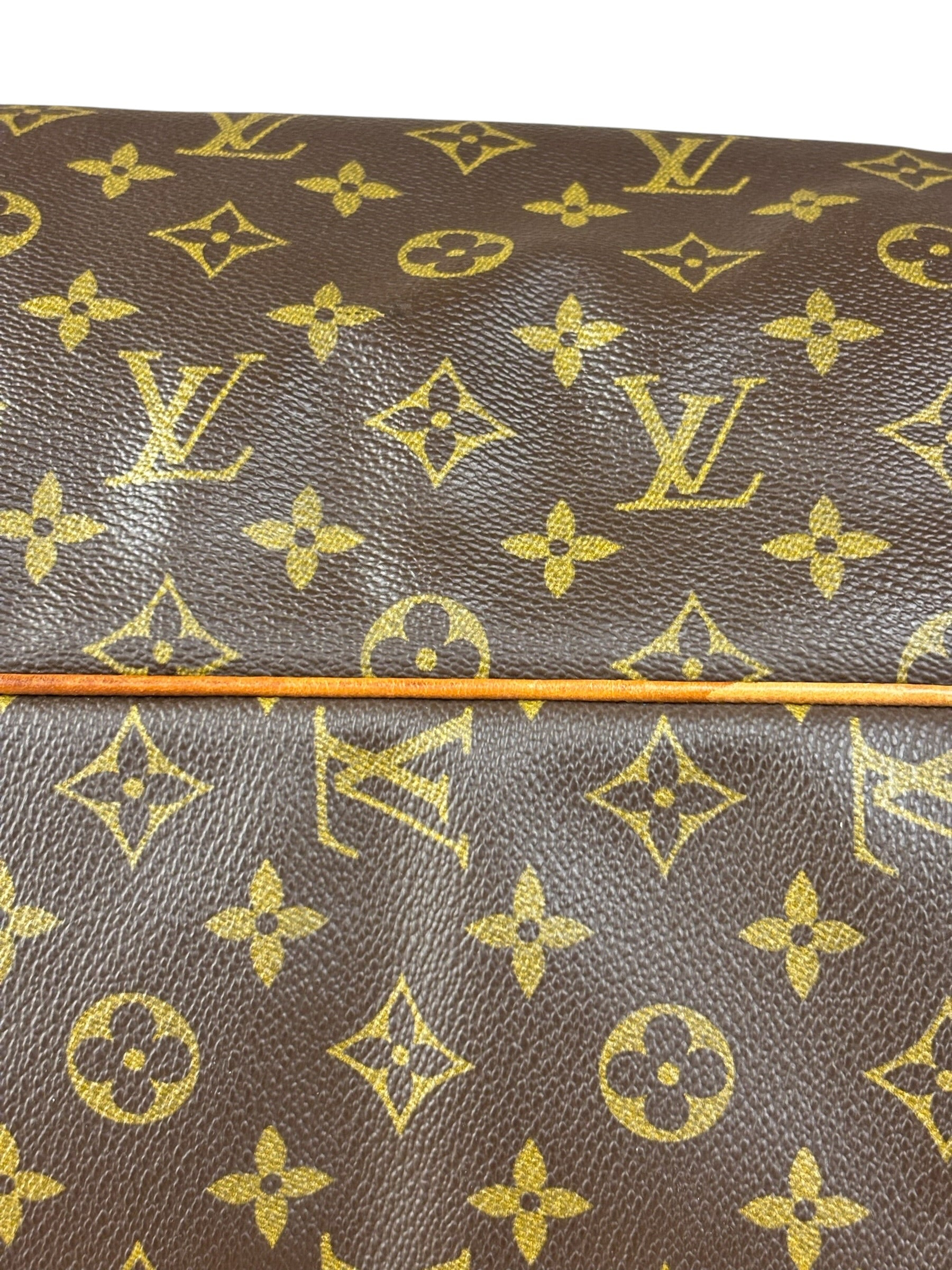 Louis Vuitton Monogram Alize Two Pouch Travel Bag