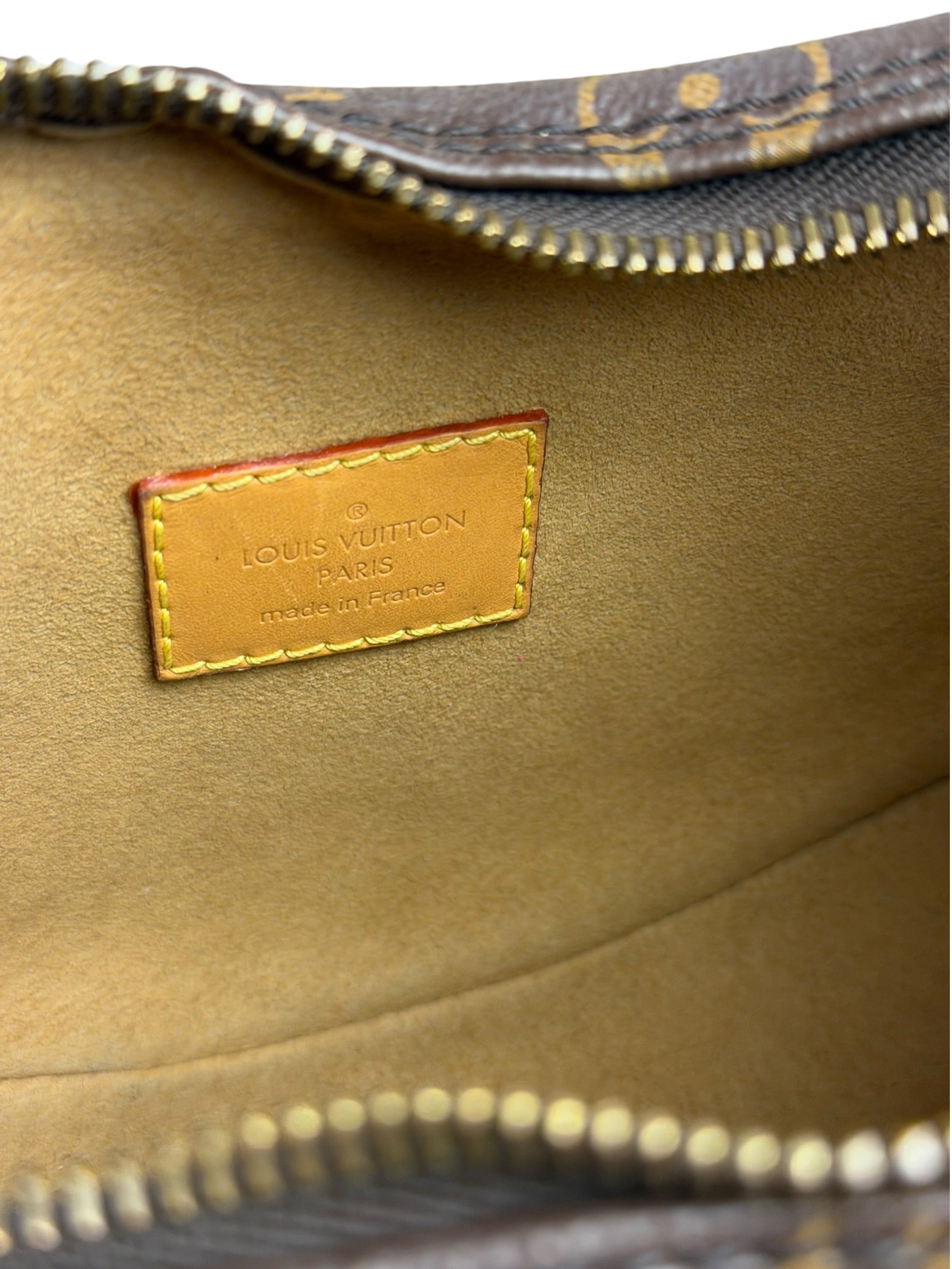 Louis Vuitton Monogram Loop Pochette