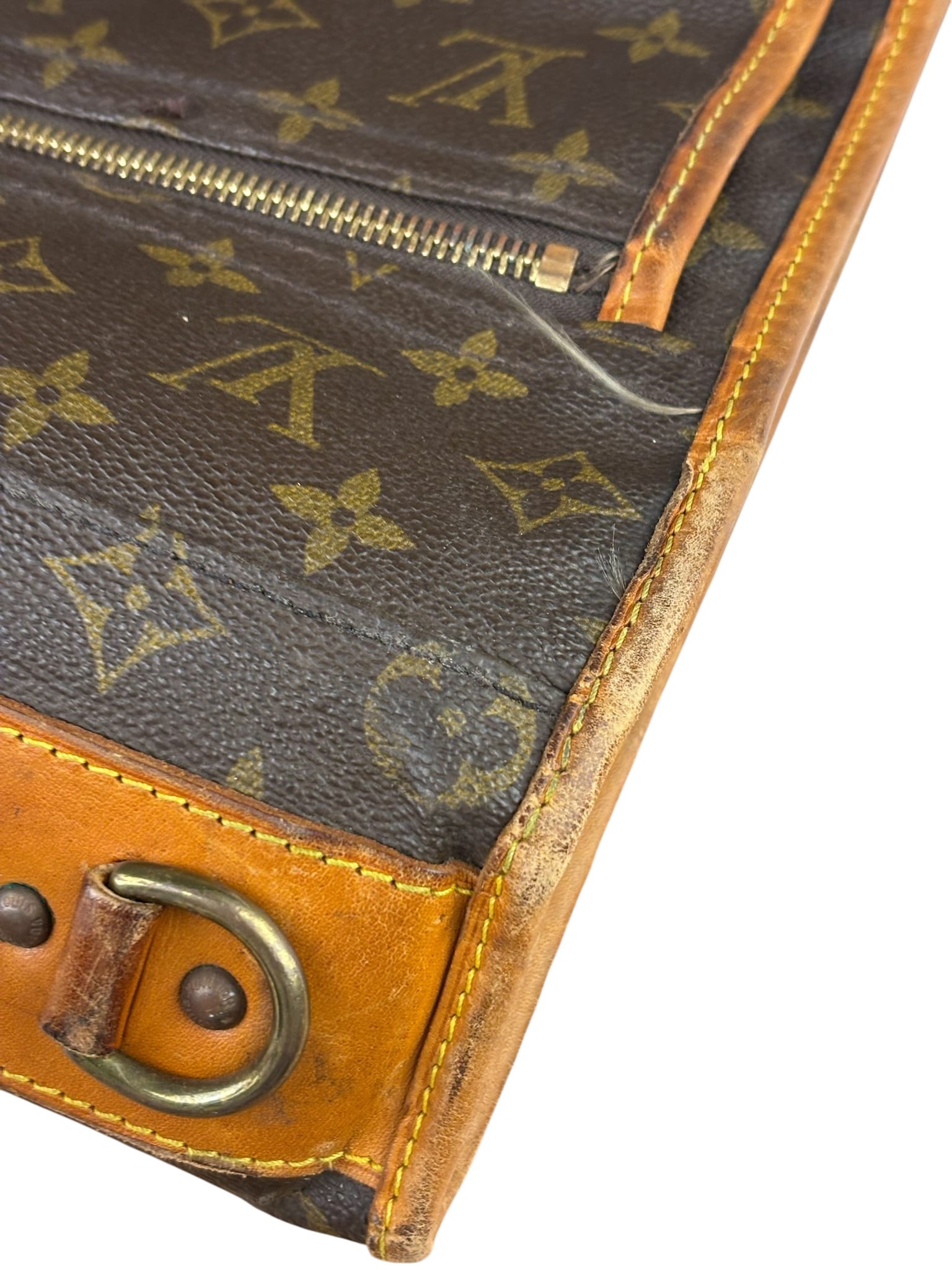 Louis Vuitton Monogram Garment Bag